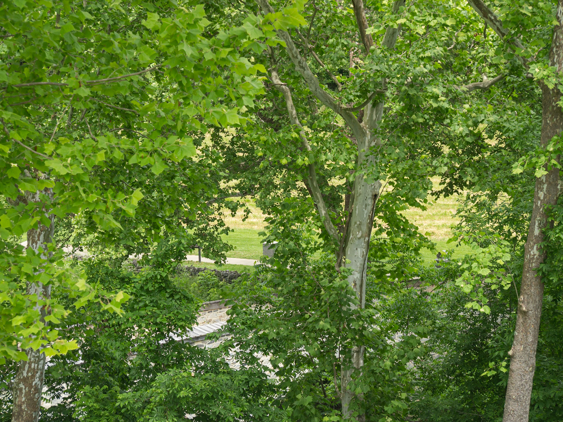 All day the Confederate Army held the heights where I am standing. In mid-afternoon, Union soldiers, perceiving a lull in the firing, stormed the bridge and the heights, finishing off the Confederates for the day.