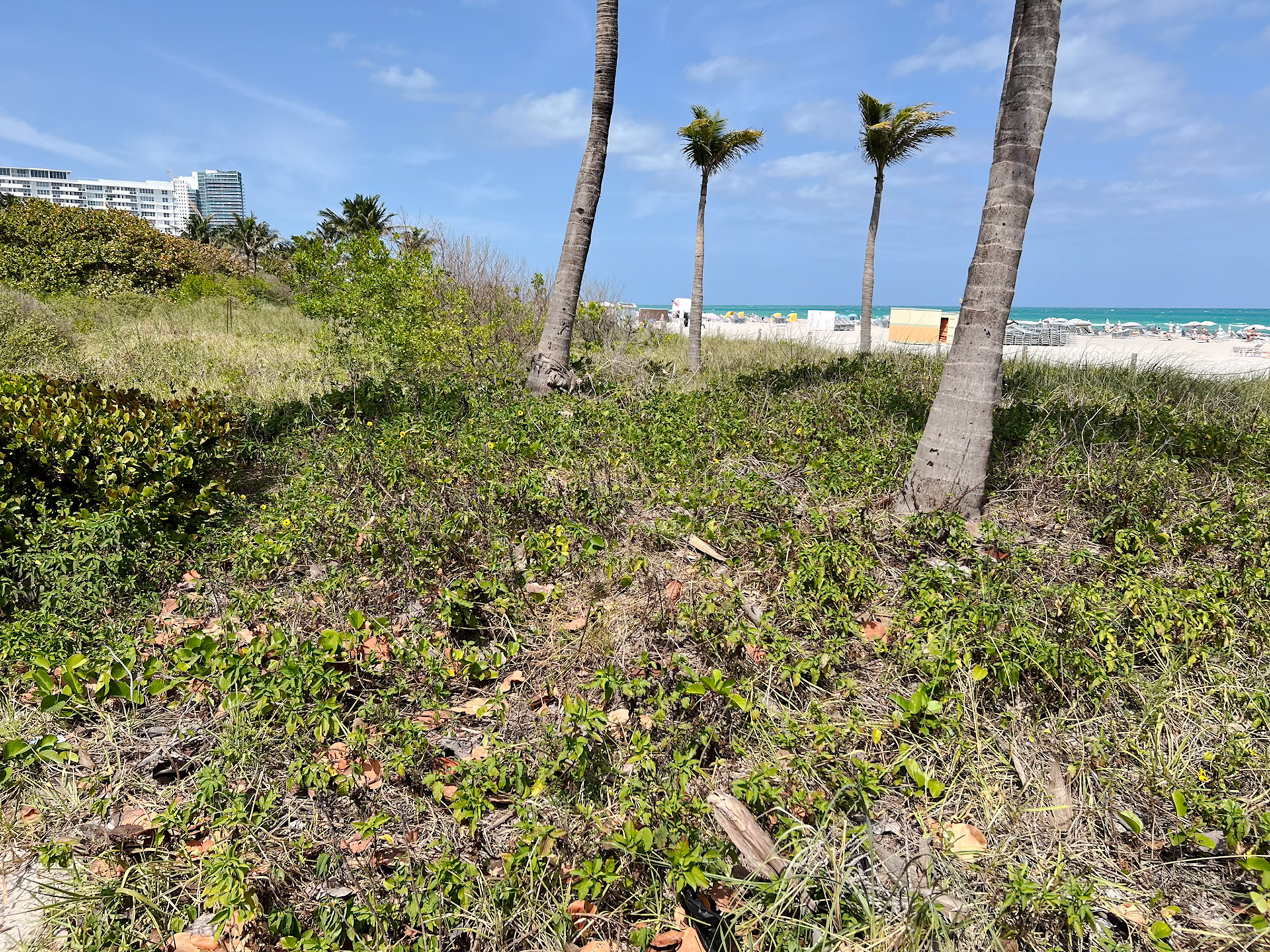 On the beach in South Beach