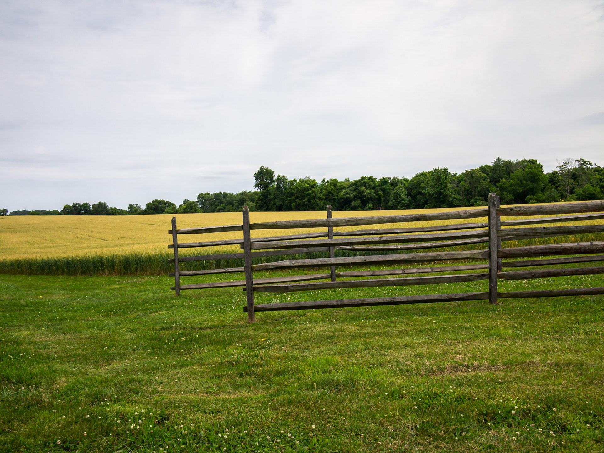 North end of the battlefield