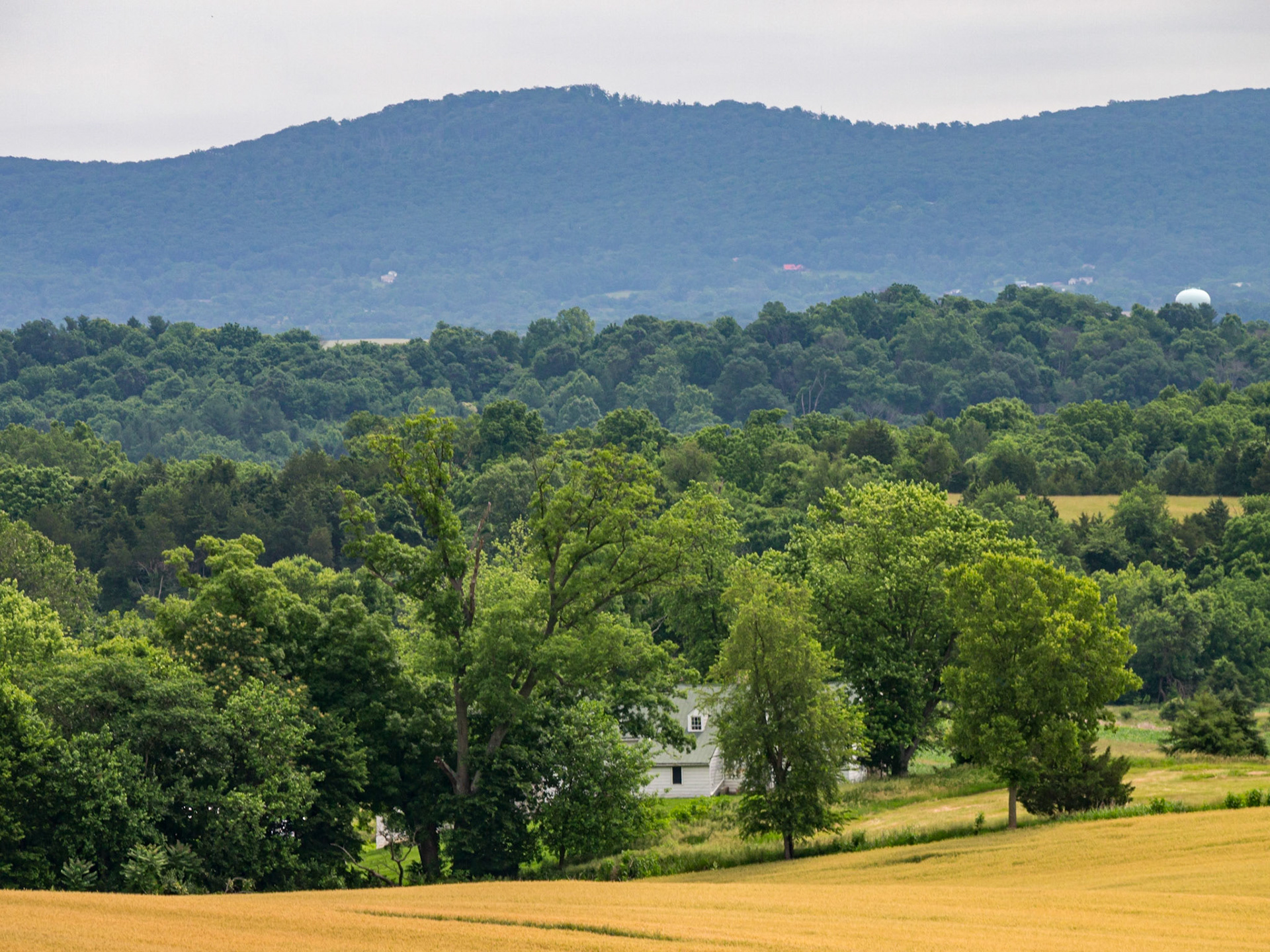 A closer view of South Mountain