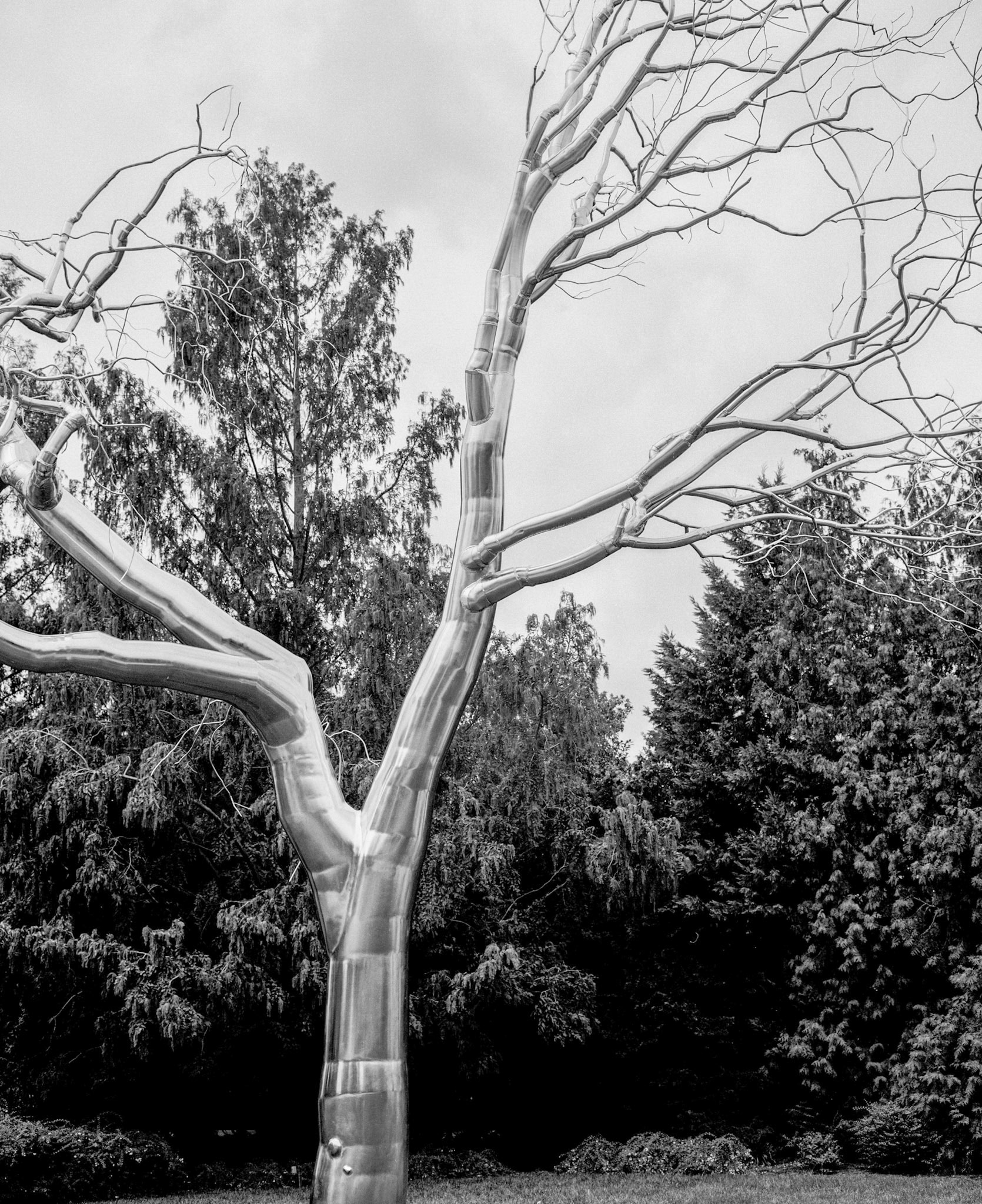 National Gallery of Art garden