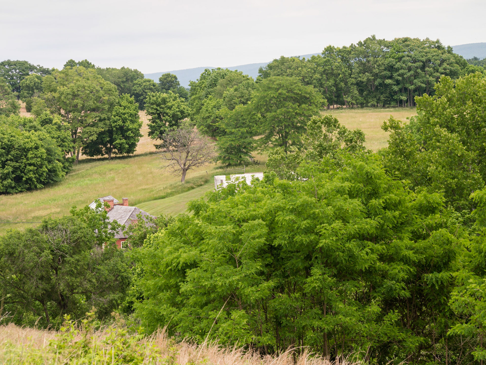 After the final battle, the two sides retired. Fighting did not resume the next day, or ever again. Lee retired across the Potomac; his foray into Union territory had been futile and and had resulted in catastrophic losses that the Confederacy would never recover from. A year later, as Confederate troops crossed the Antietam battlefield on their way to Gettysburg, they found the battlefield littered with unburied skeletons bleaching in the sun. Lincoln, for his part, used Lee’s discomfiture to issue the Emancipation Proclamation.
