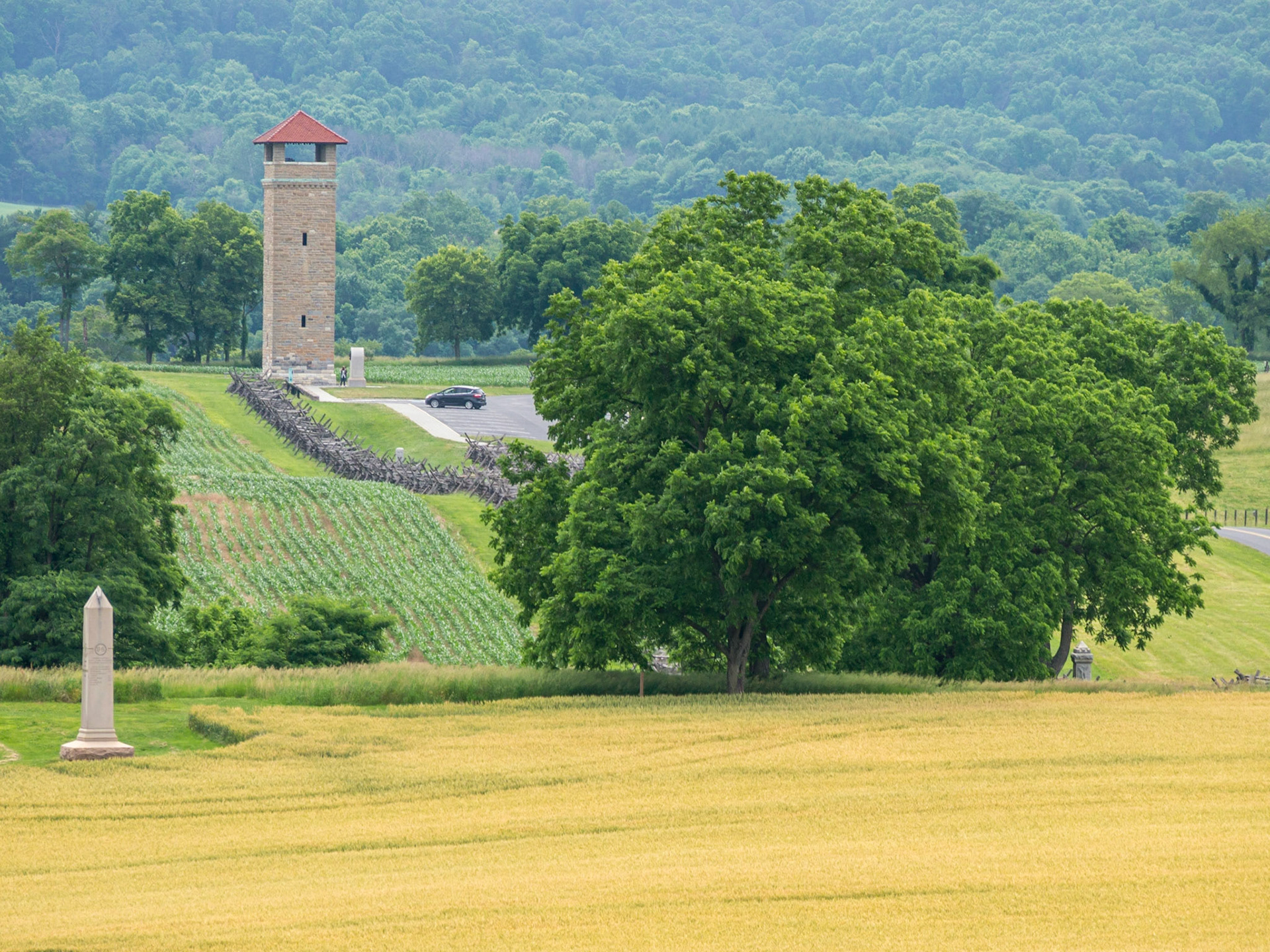 From the lookout toward the sunken road with the observation tower at the end.