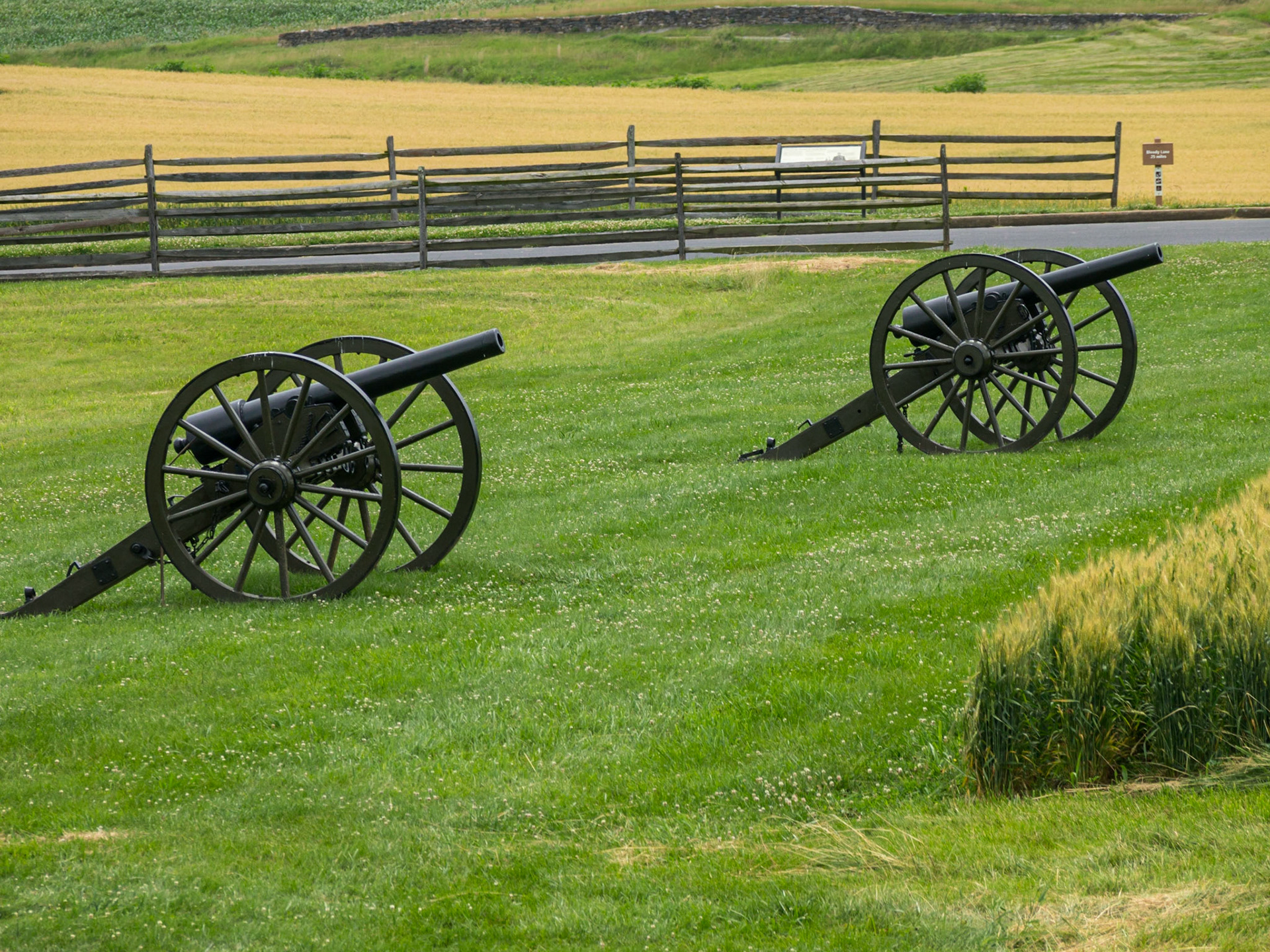 Cannon from the lookout
