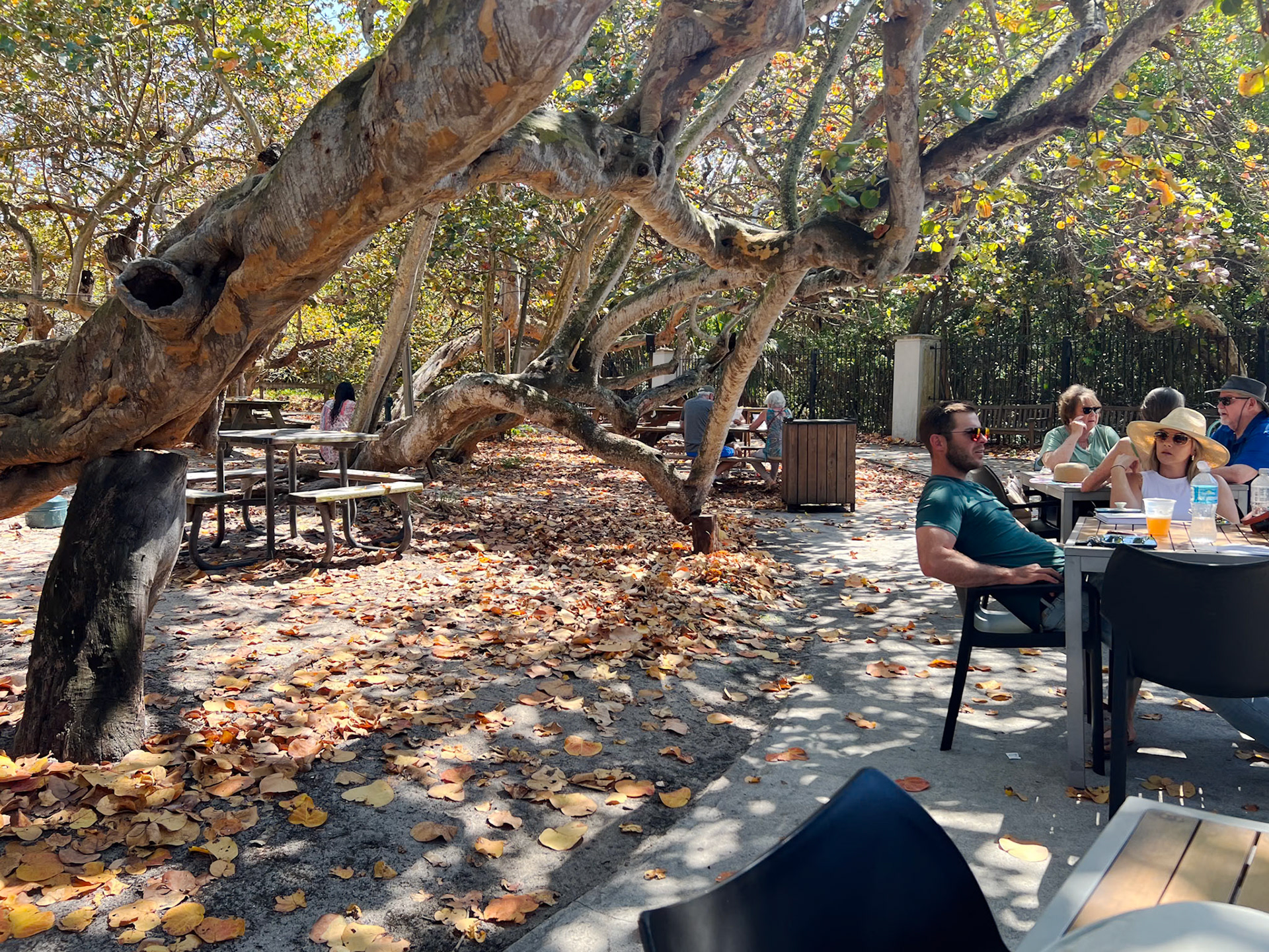 Lunch spot in the Hugh Birch State Park in Ft Lauderdale