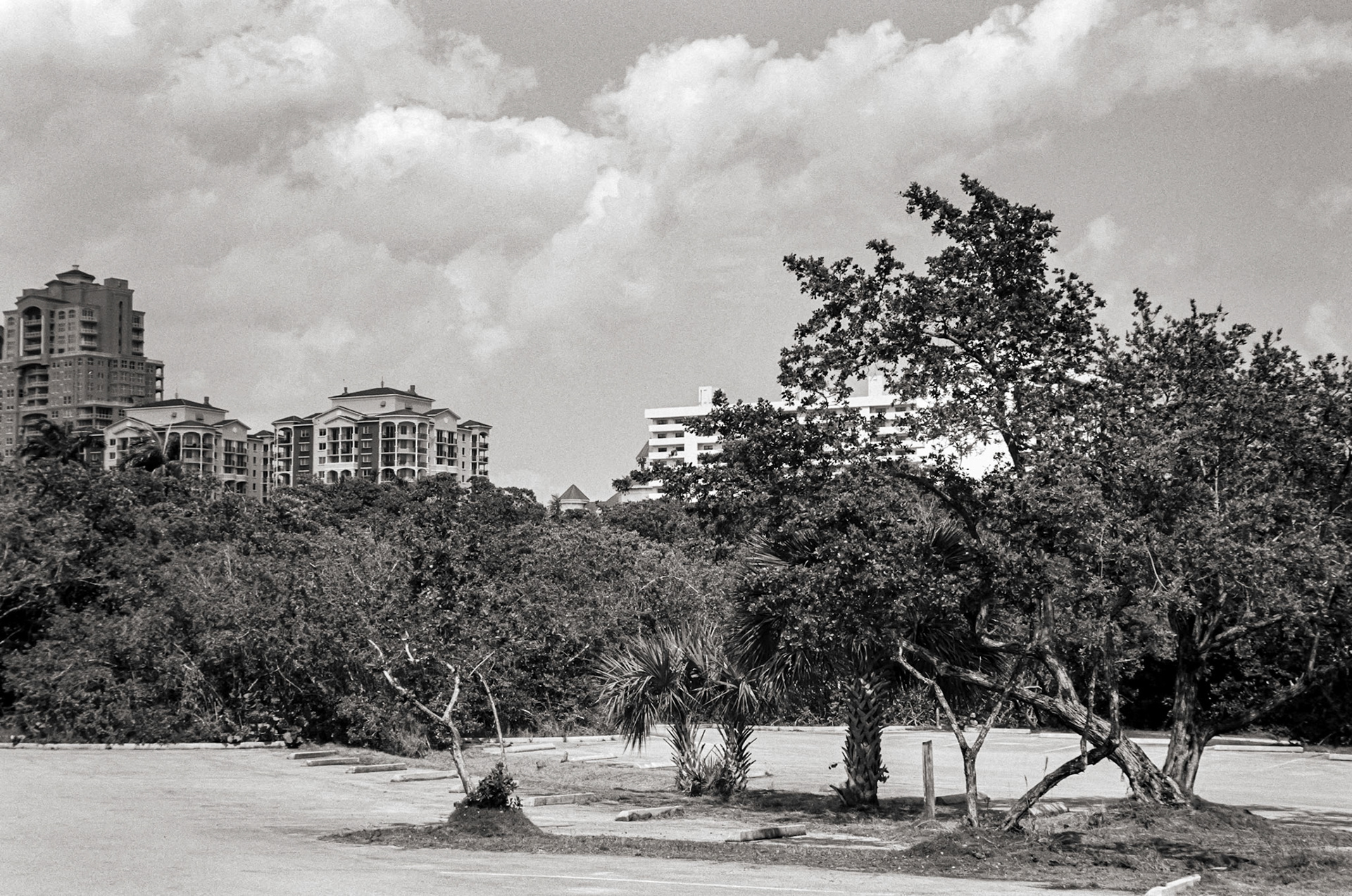 North end of Hugh Taylor Birch State Park, looking toward the beach