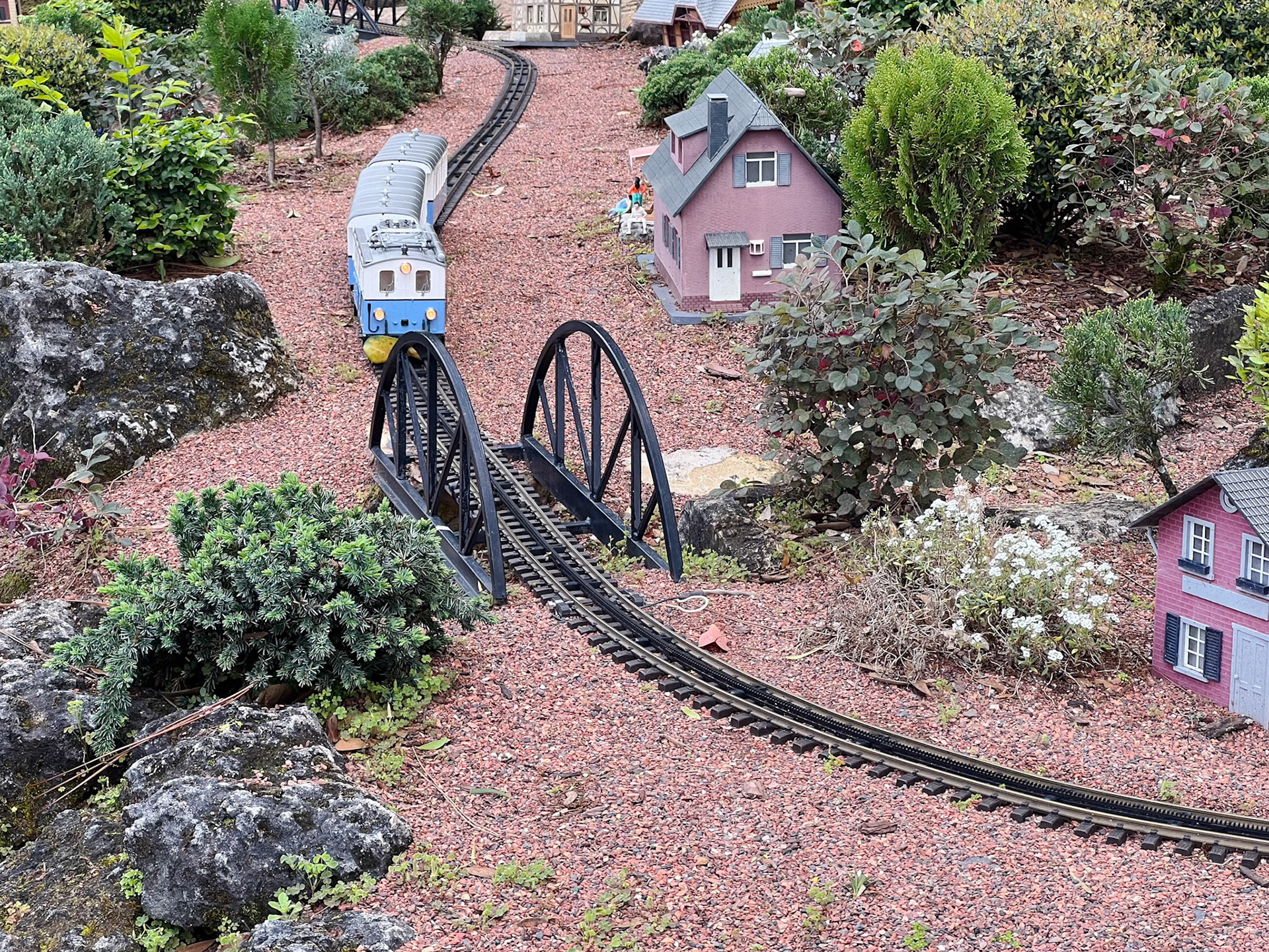 Model train in Germany section