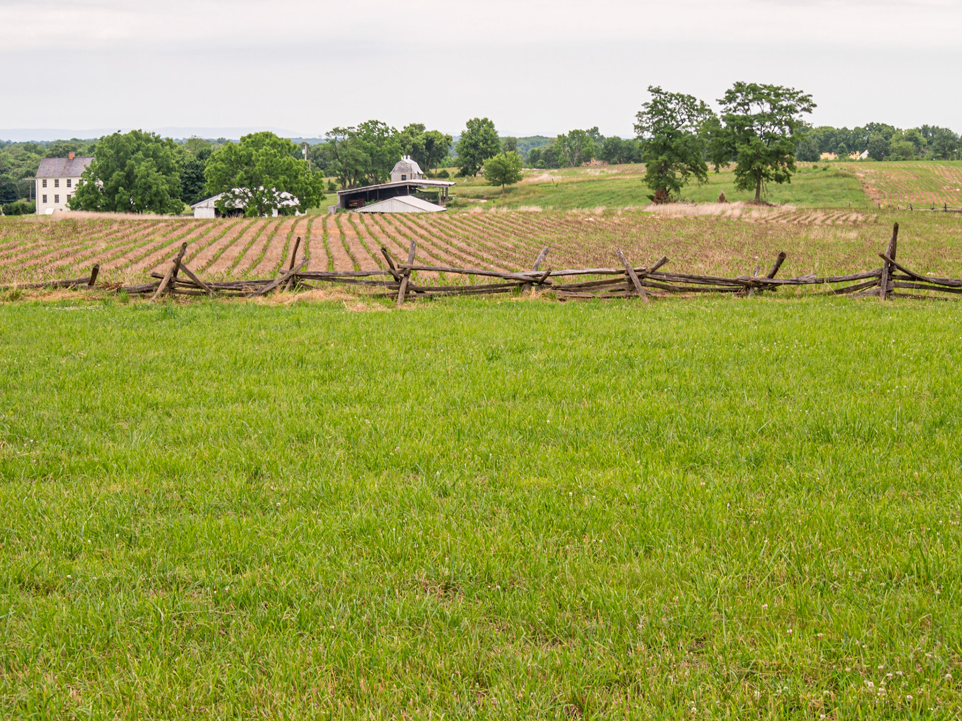 The cornfield. This twenty-four acre plot is the scene of America’s deadliest battle. For hours on that morning, the field changed hands over and again, each time with massive loss of life. When it was done, said Stonewall Jackson, you could cross the field without stepping on earth; it was covered with bodies, most still writhing.