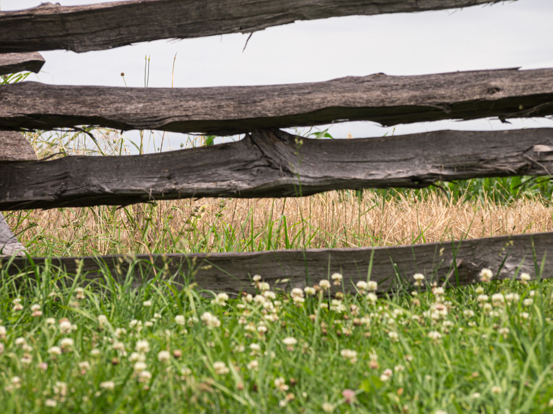 Snipers view from the sunken road