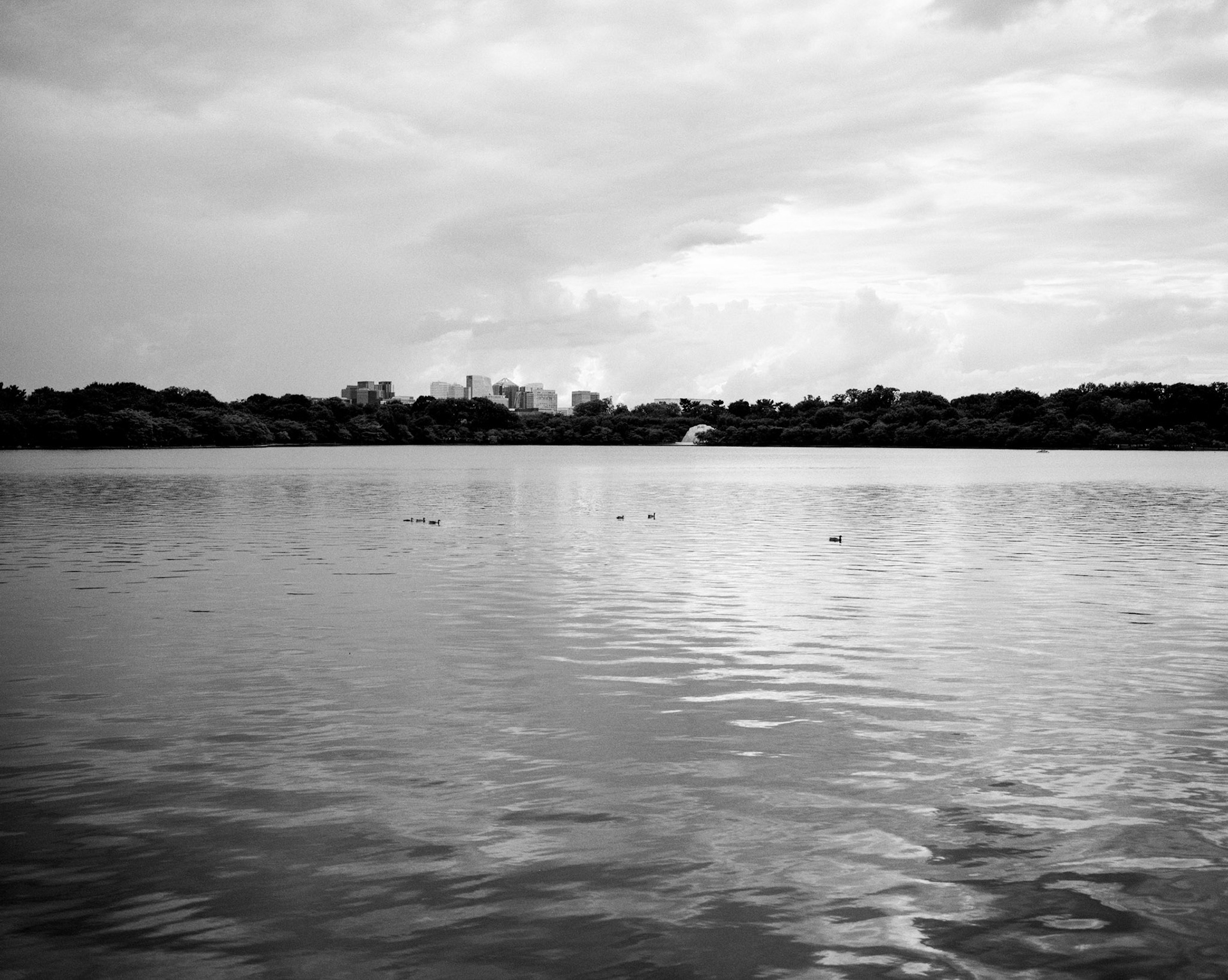 Jefferson Memorial and Tidal Basin