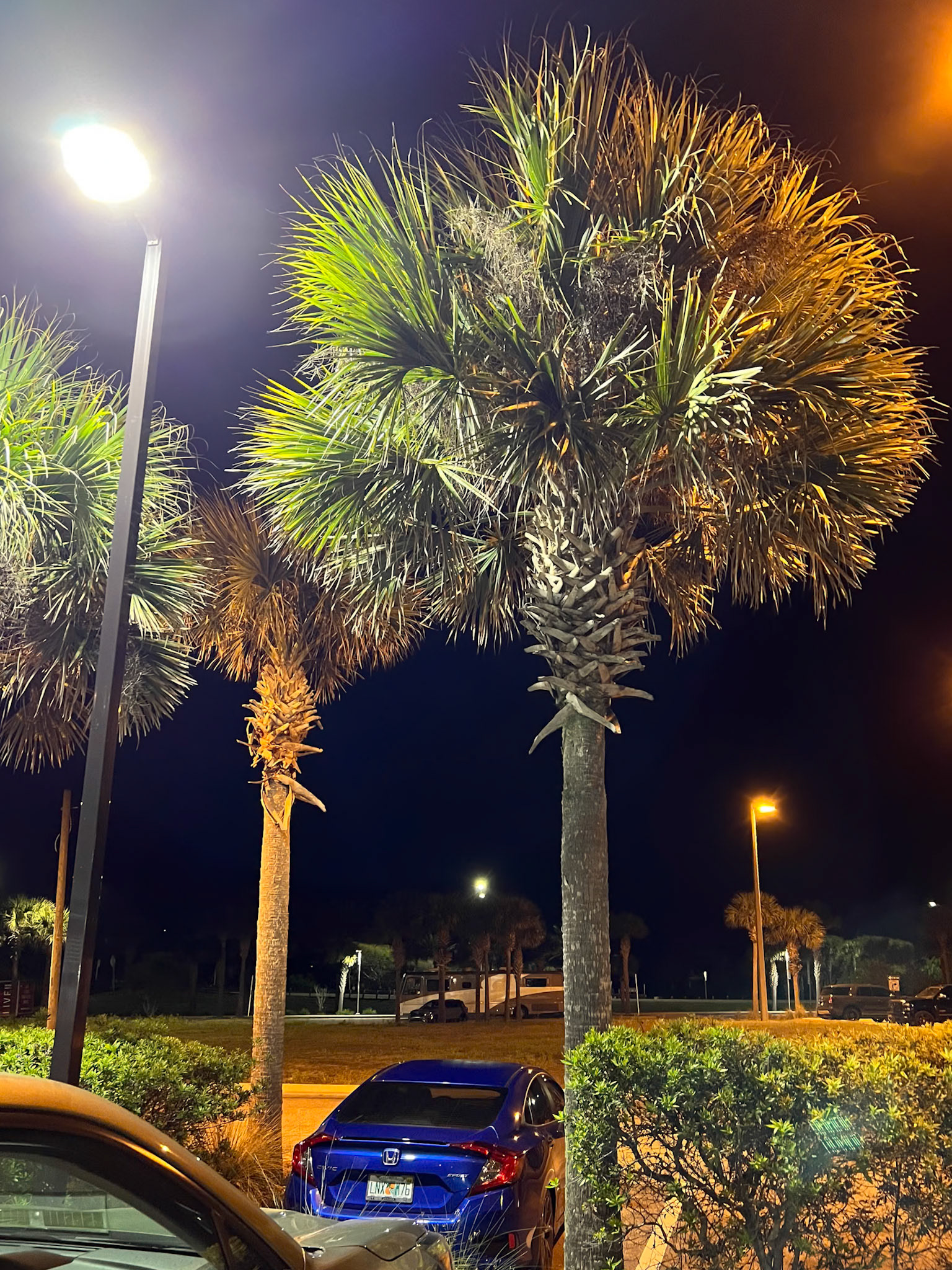 Holiday Inn at Vilano Beach, St Augustine FL