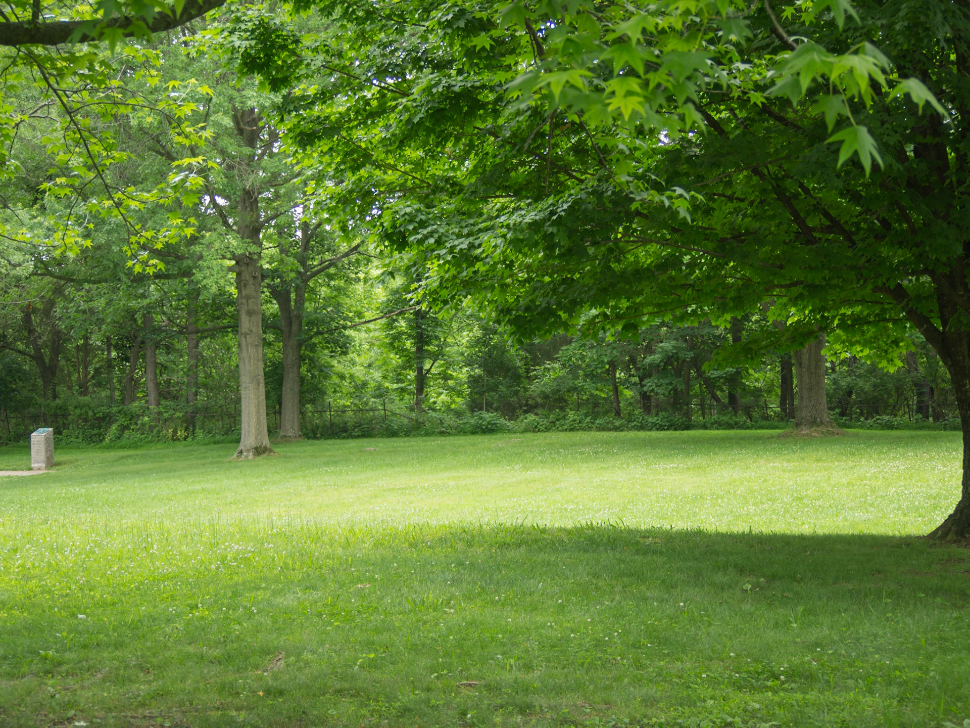 The West Woods. Union troops ventured across the Hagerstown Pike into the West Woods, but were shredded. For the remainder of the battle, they stayed east of the Pike.