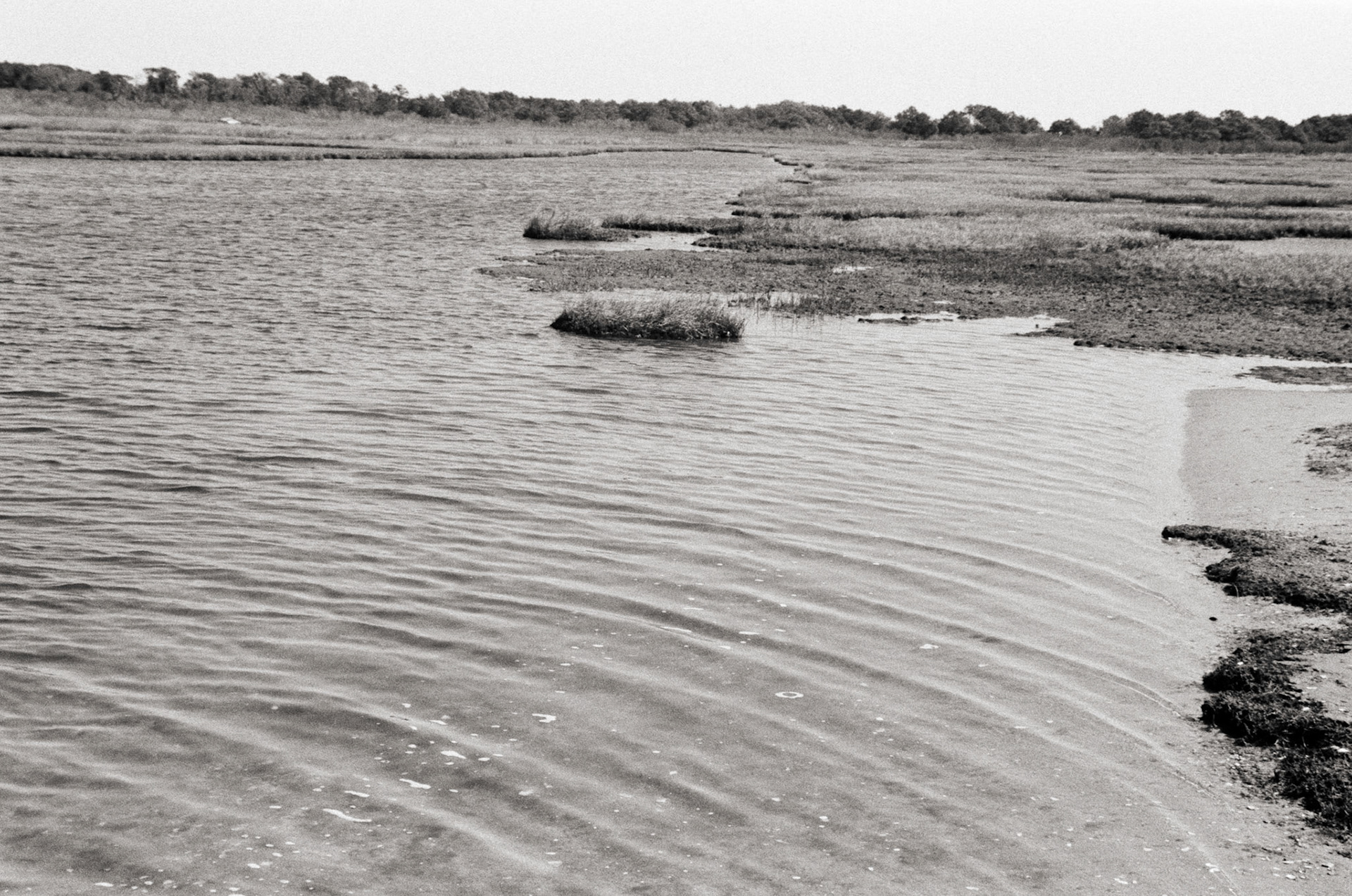 Ponds on Assateague