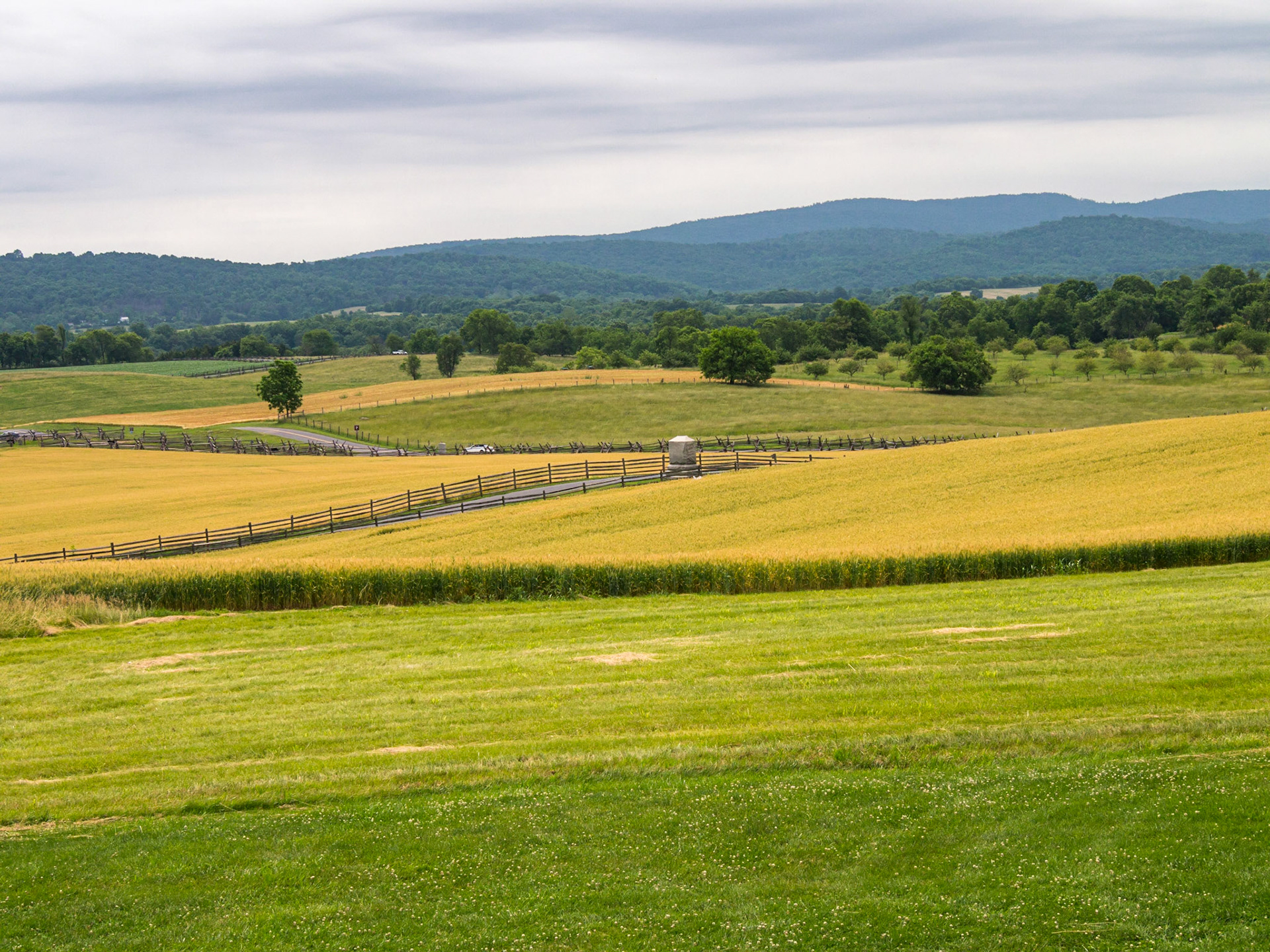 More of the battlefield from the lookout