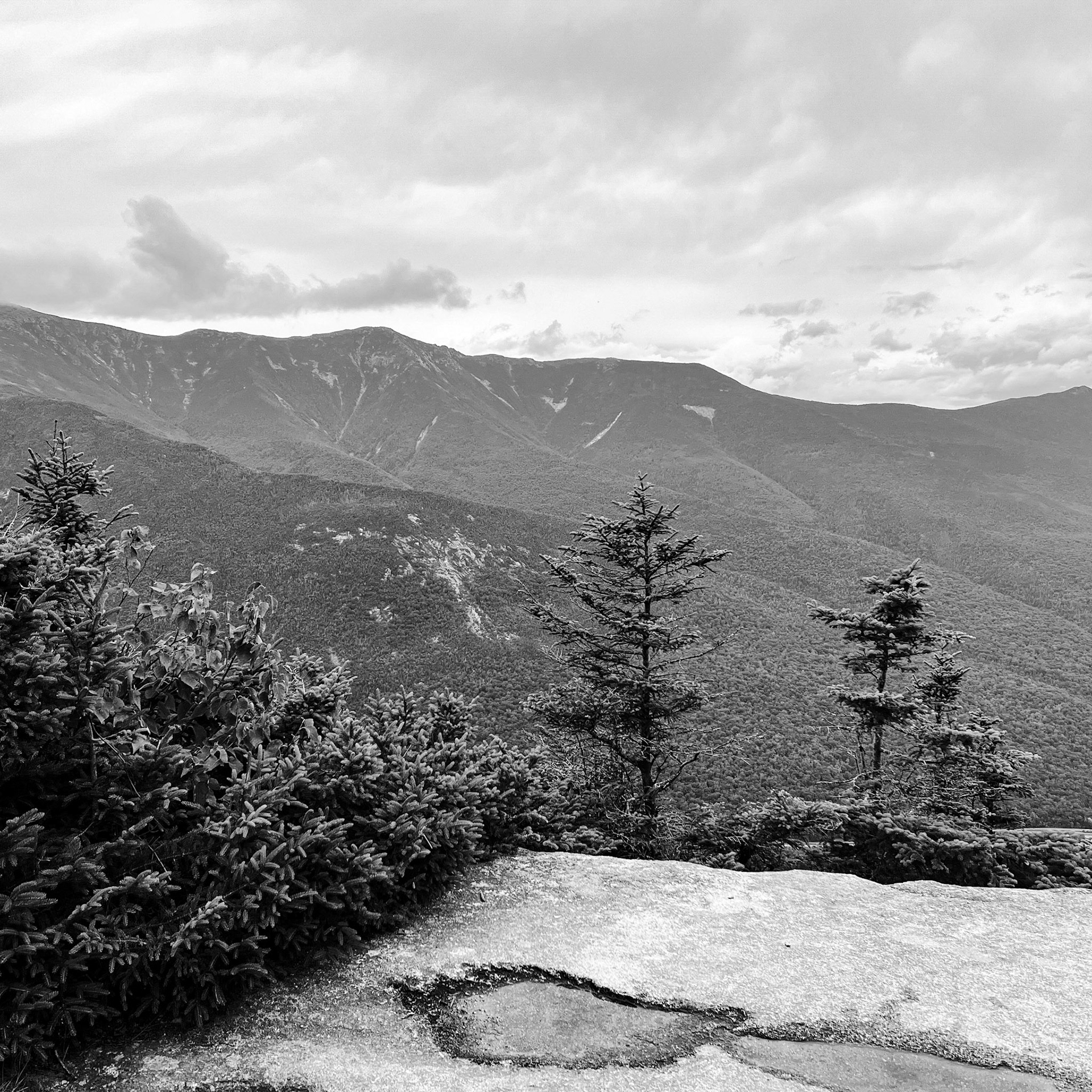 On the Rim trail to the observation deck on Cannon Mountain.