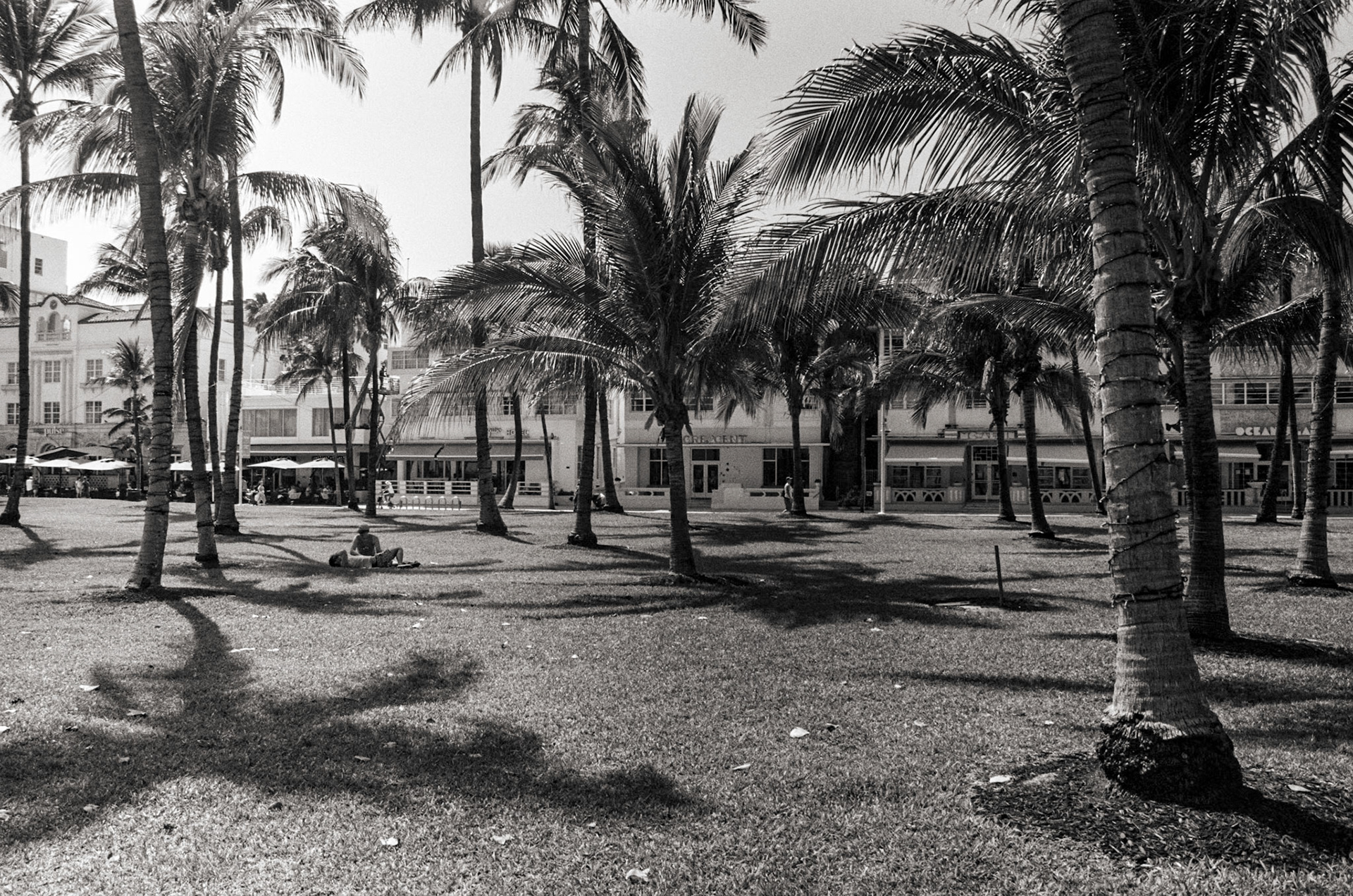 Across the park, from the beach, looking at the historic district with its Streamline Moderne hotels.