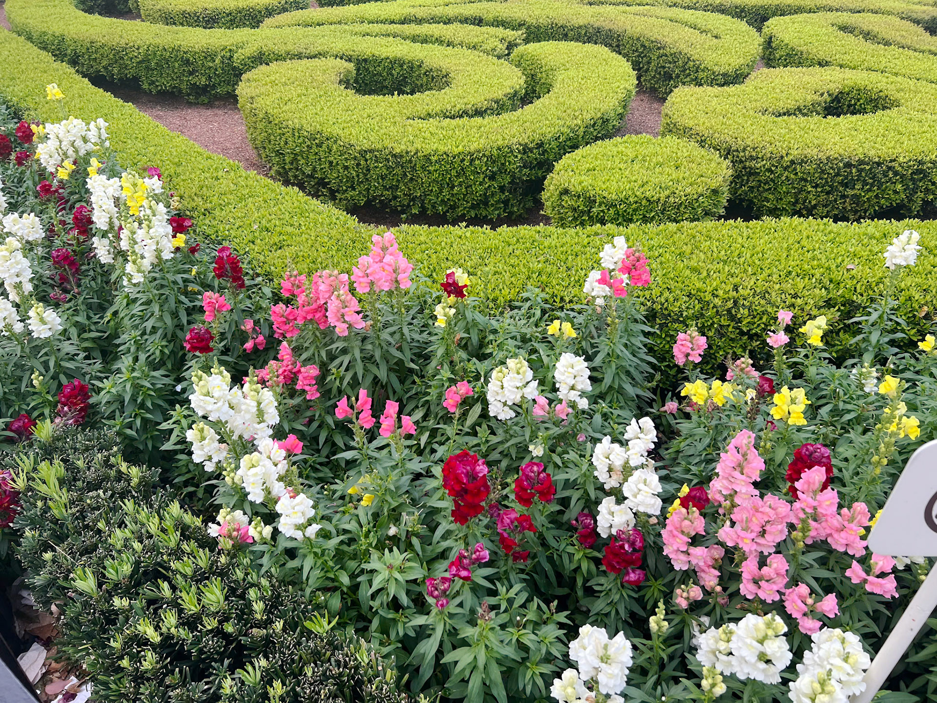 Gardens in France section