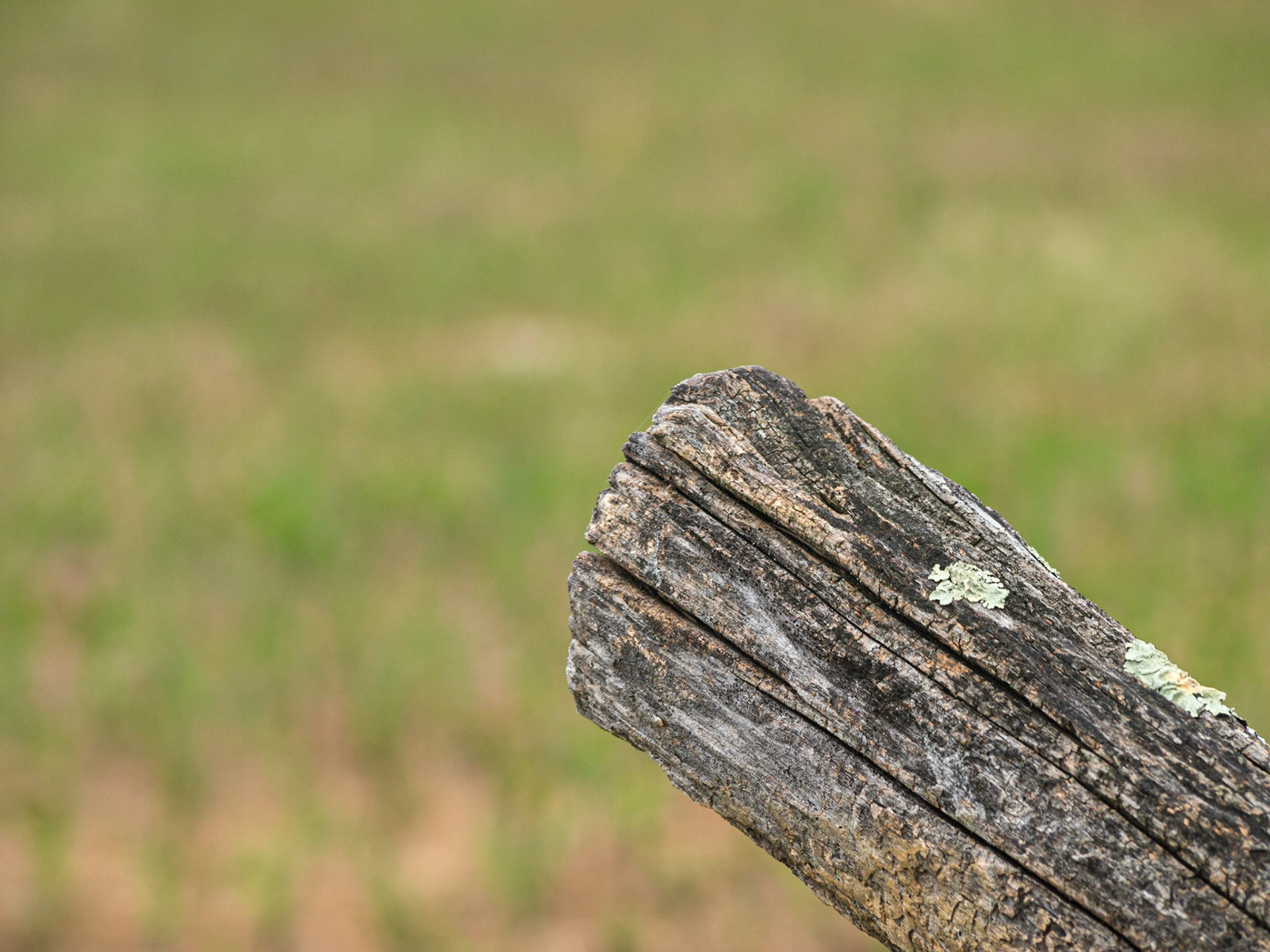 Fence at the south end of the cornfield