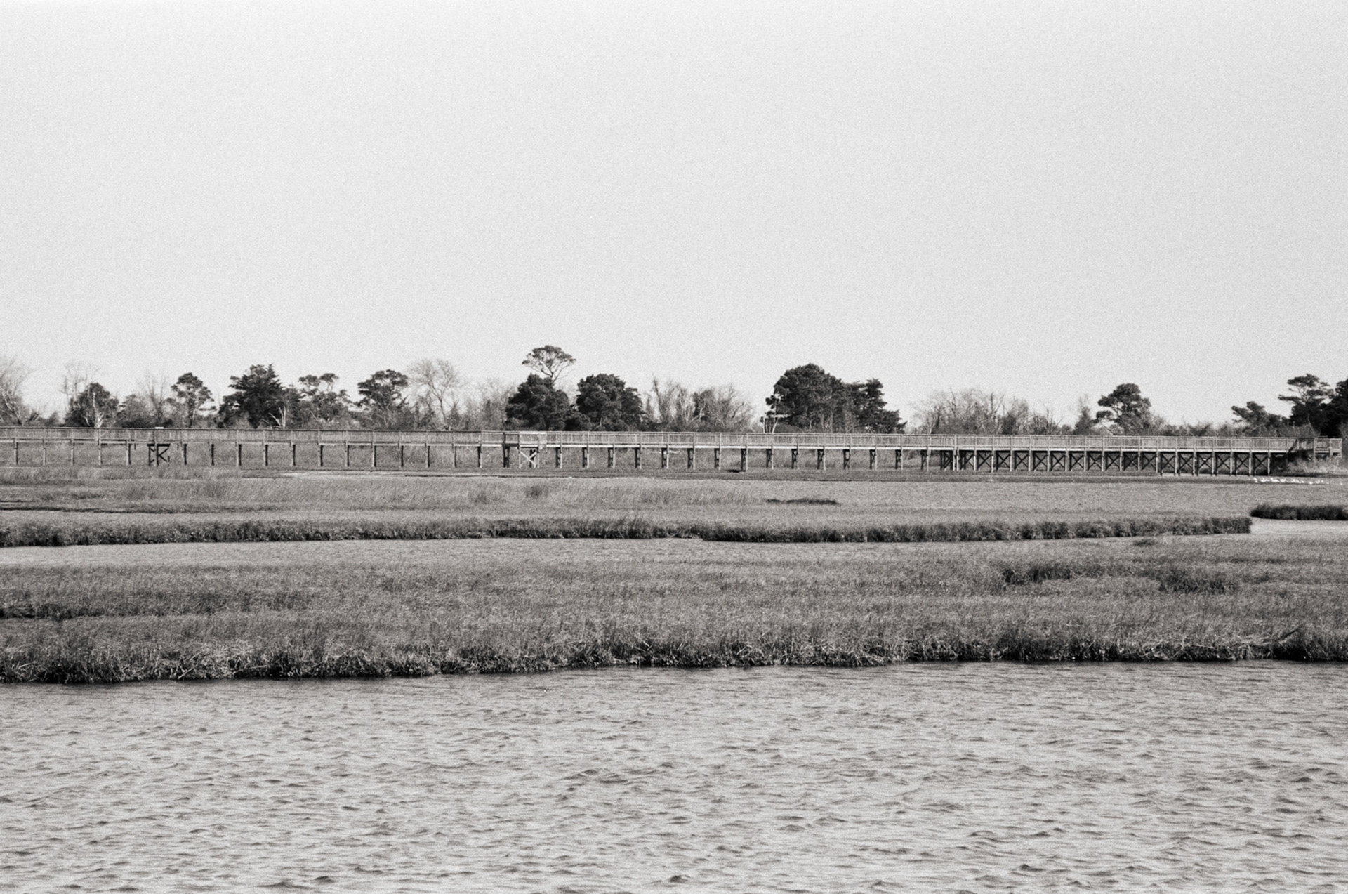 Boardwalk over Assateague
