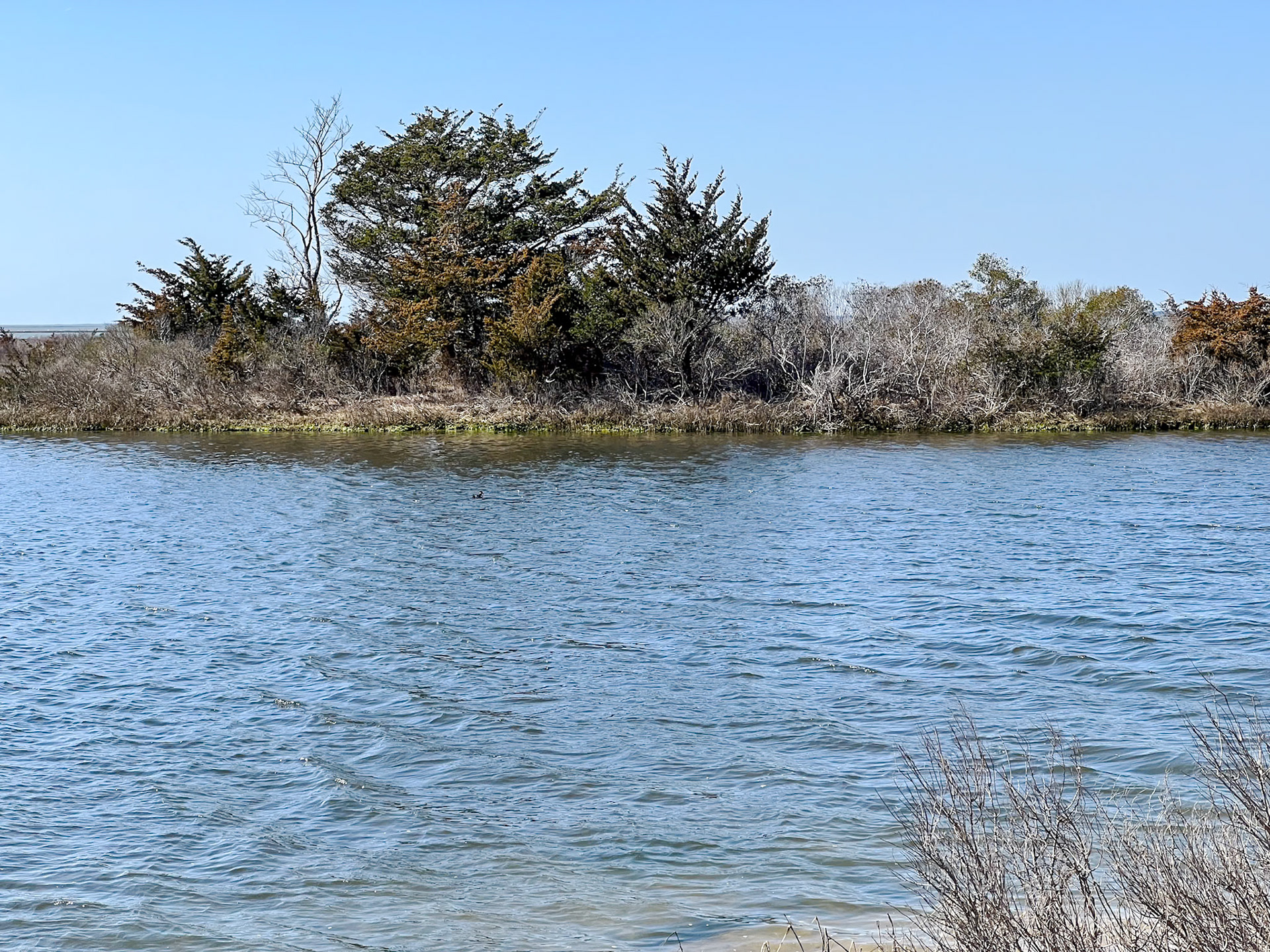 Assateague Island
