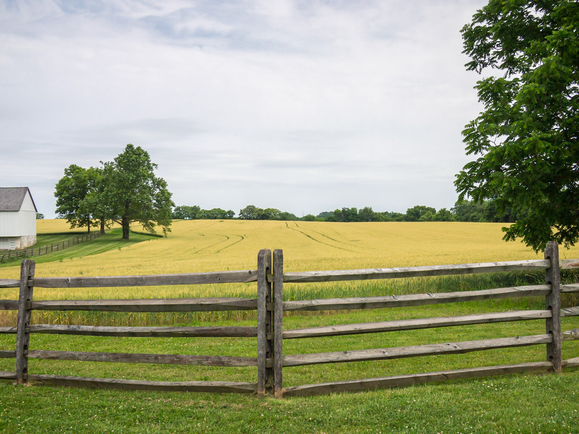 Northern end of the battlefield. Fighting began here in the pre-dawn hours of the day.