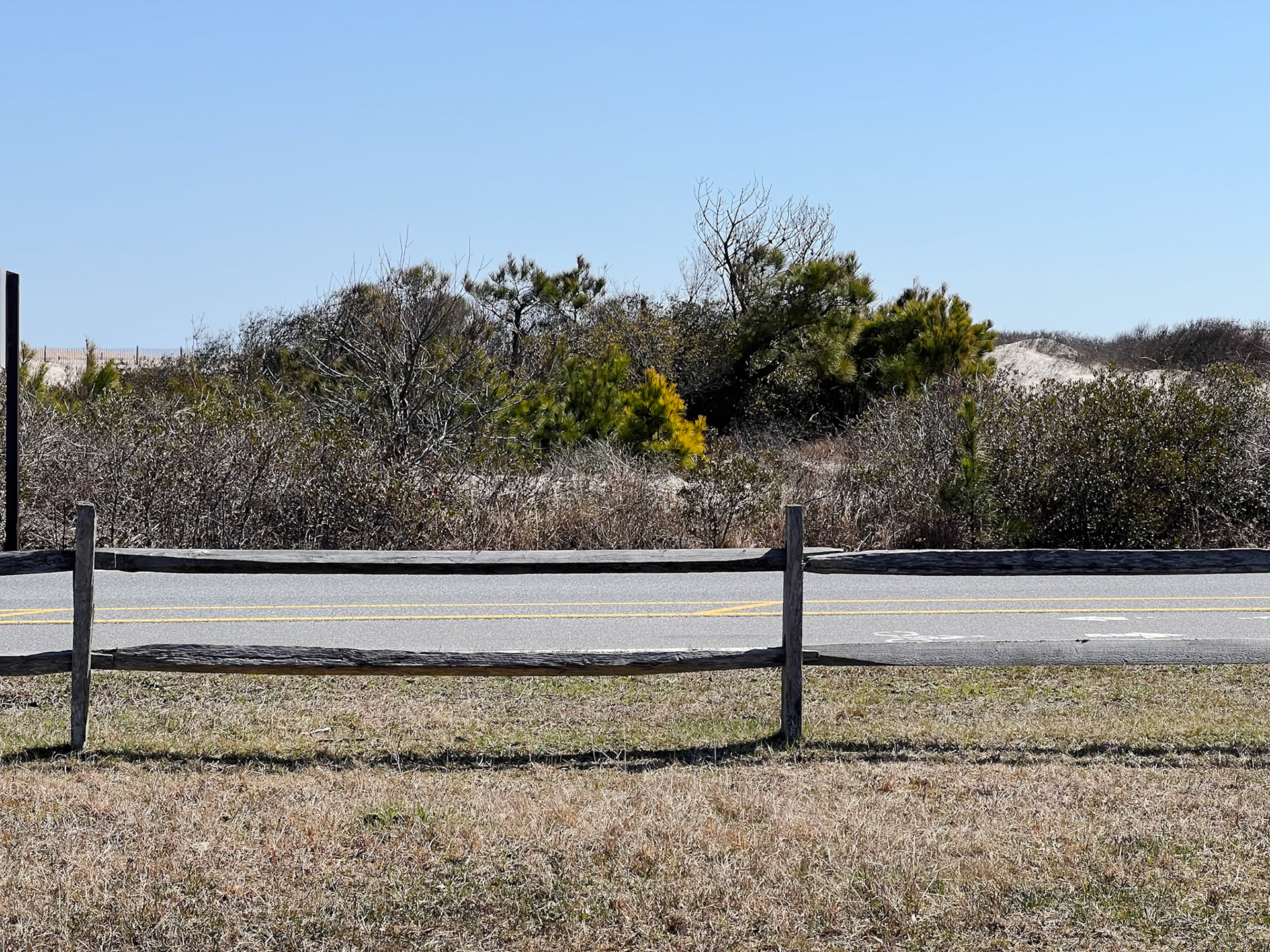 Looking over the dunes on Assateague Island