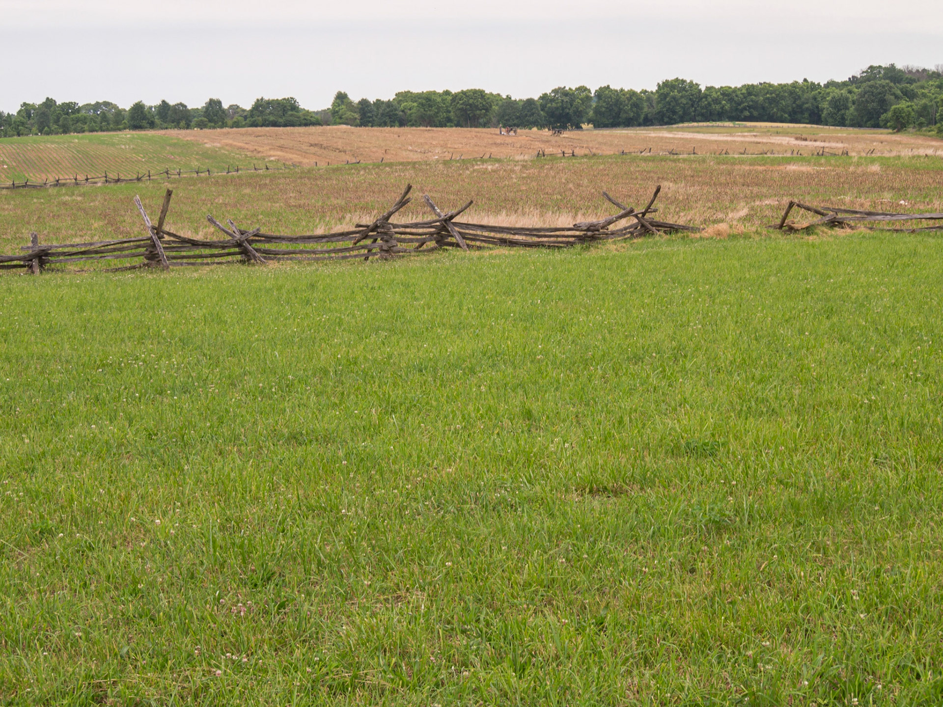 The cornfield. This twenty-four acre plot is the scene of America’s deadliest battle. For hours on that morning, the field changed hands over and again, each time with massive loss of life. When it was done, said Stonewall Jackson, you could cross the field without stepping on earth; it was covered with bodies, most still writhing.