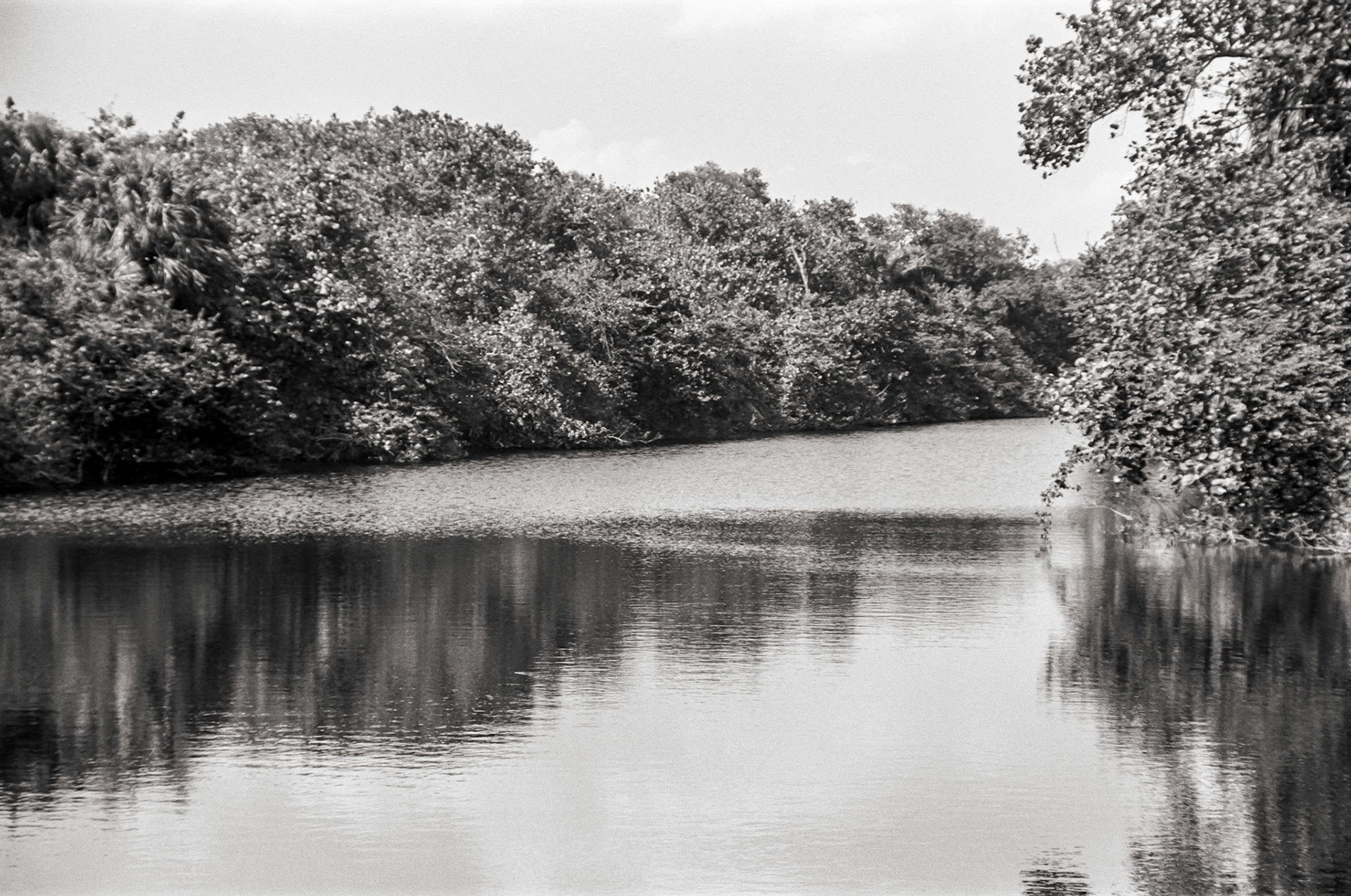 Pond in Hugh Taylor Birch State Park in Ft Lauderdale