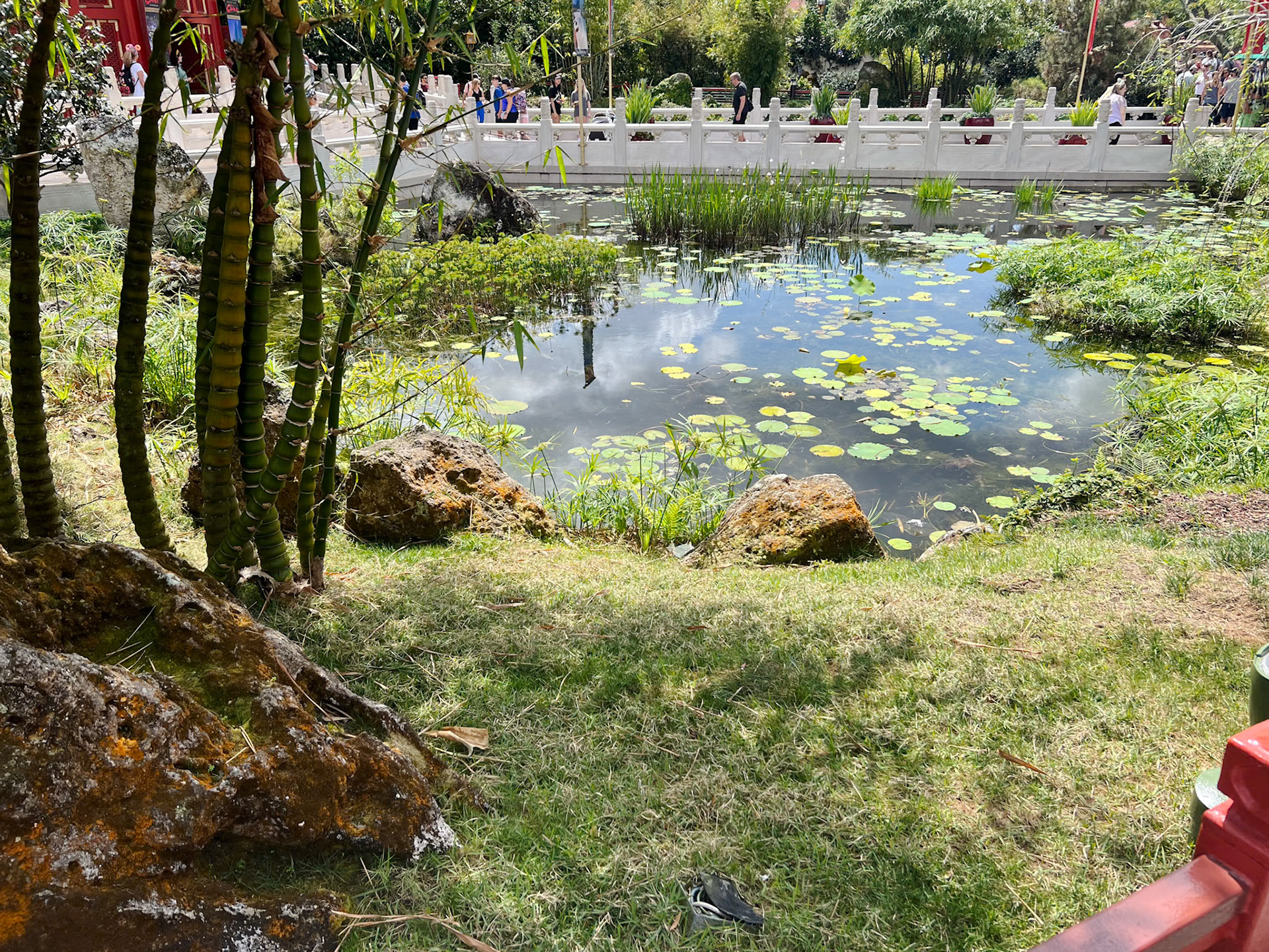 Garden in China section