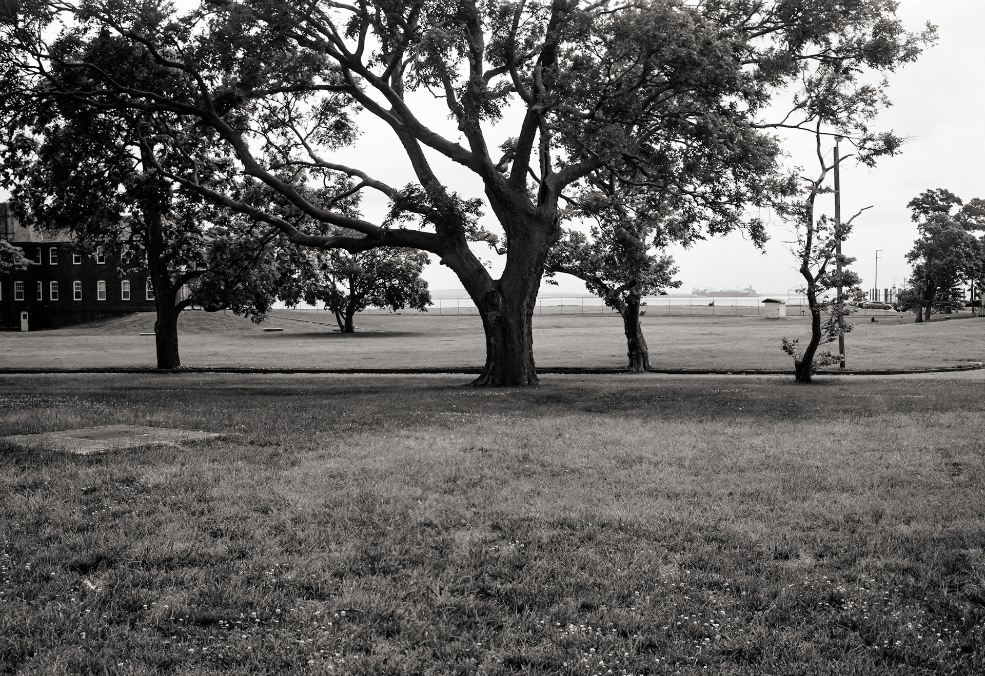 Lawns toward bay
