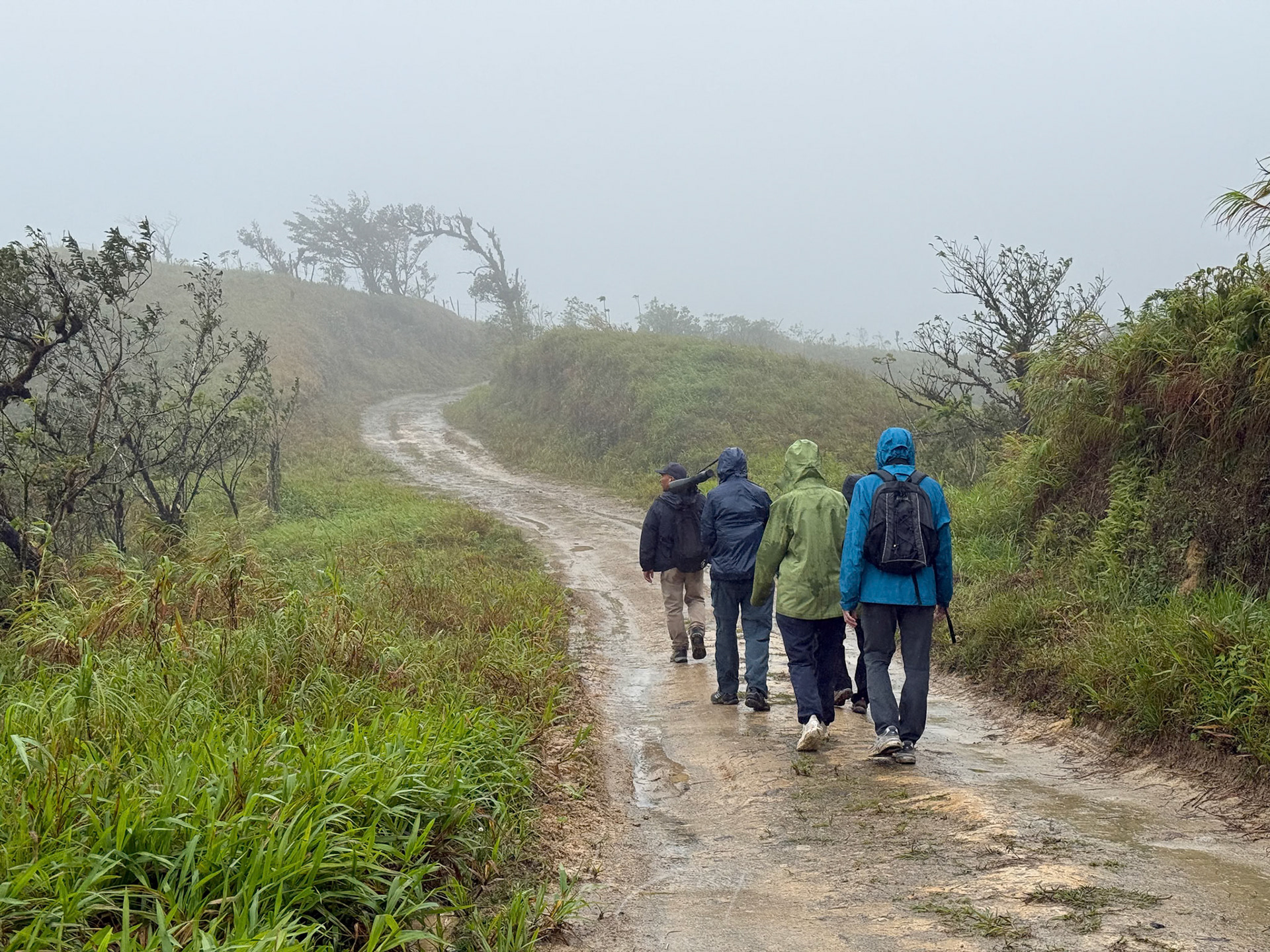 Birding Group at Rainy Las Minas