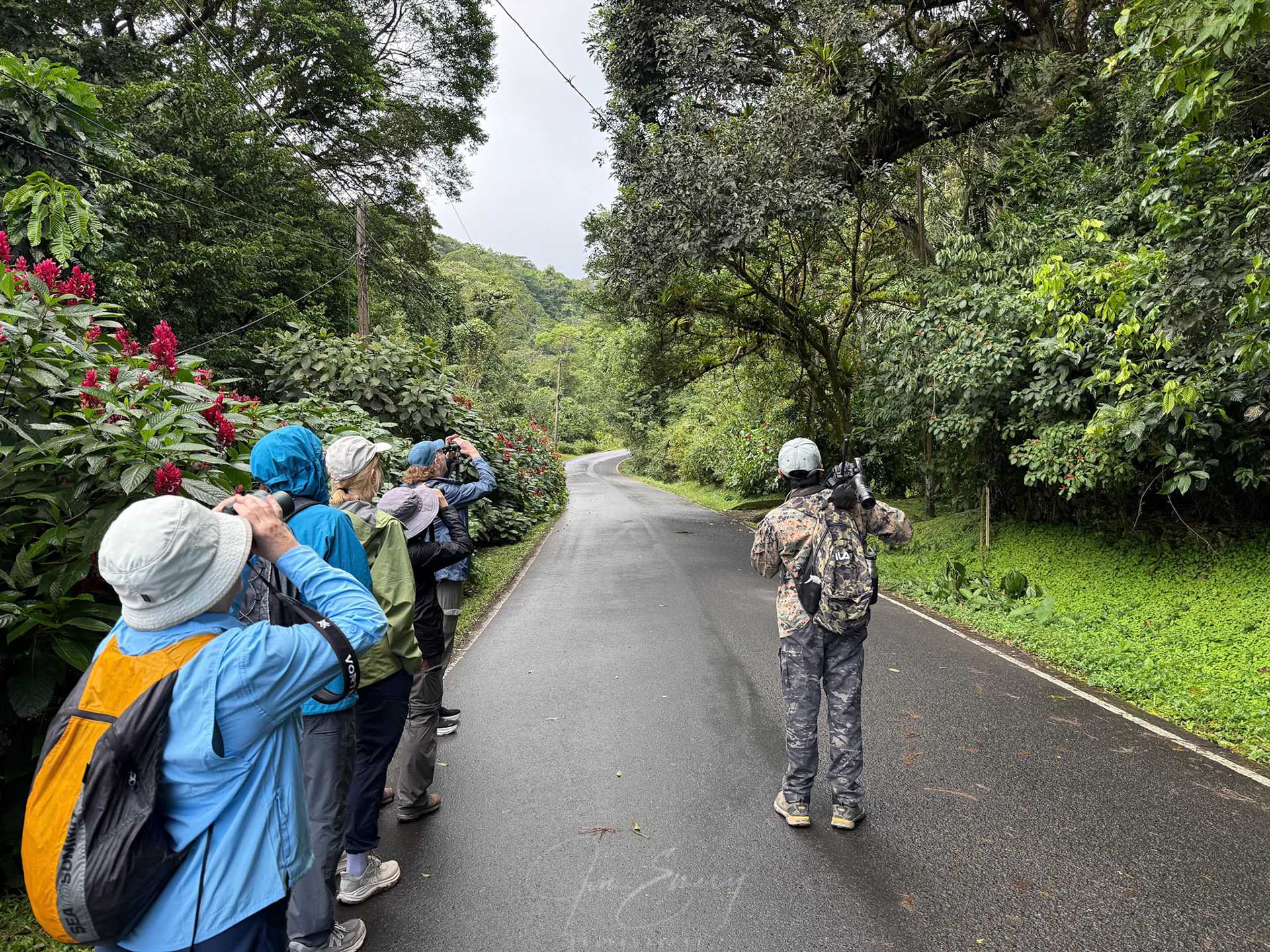 Group Birding Outside Canopy Lodge