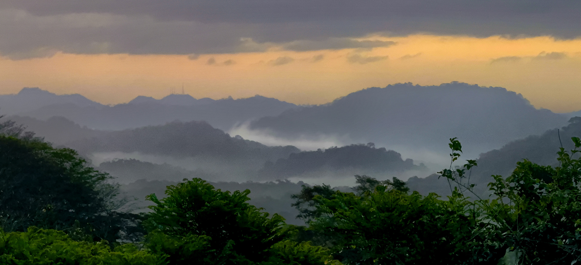 Canopy Tower Misty Morning Vista