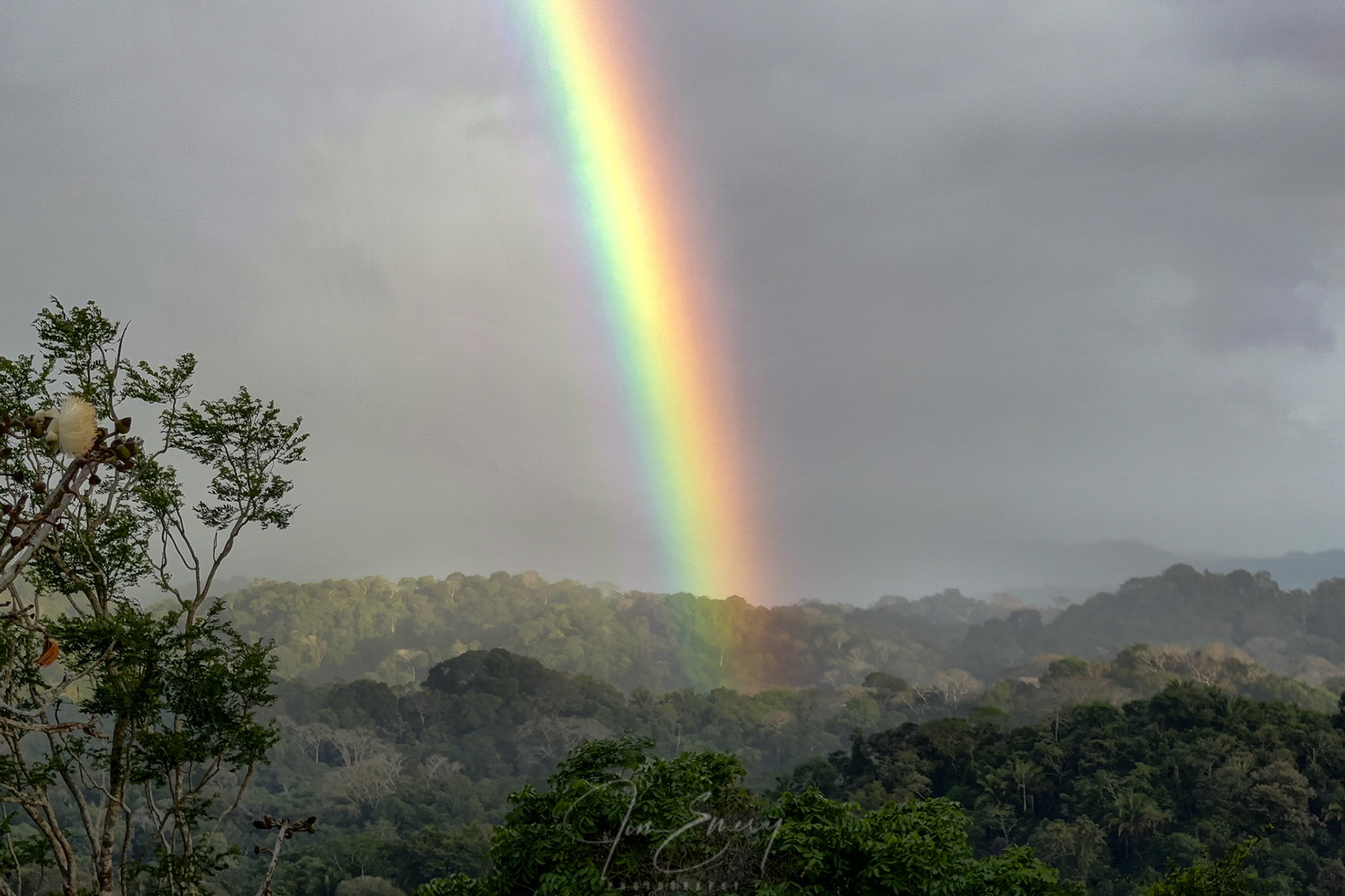 Rainbow from Canopy Tower