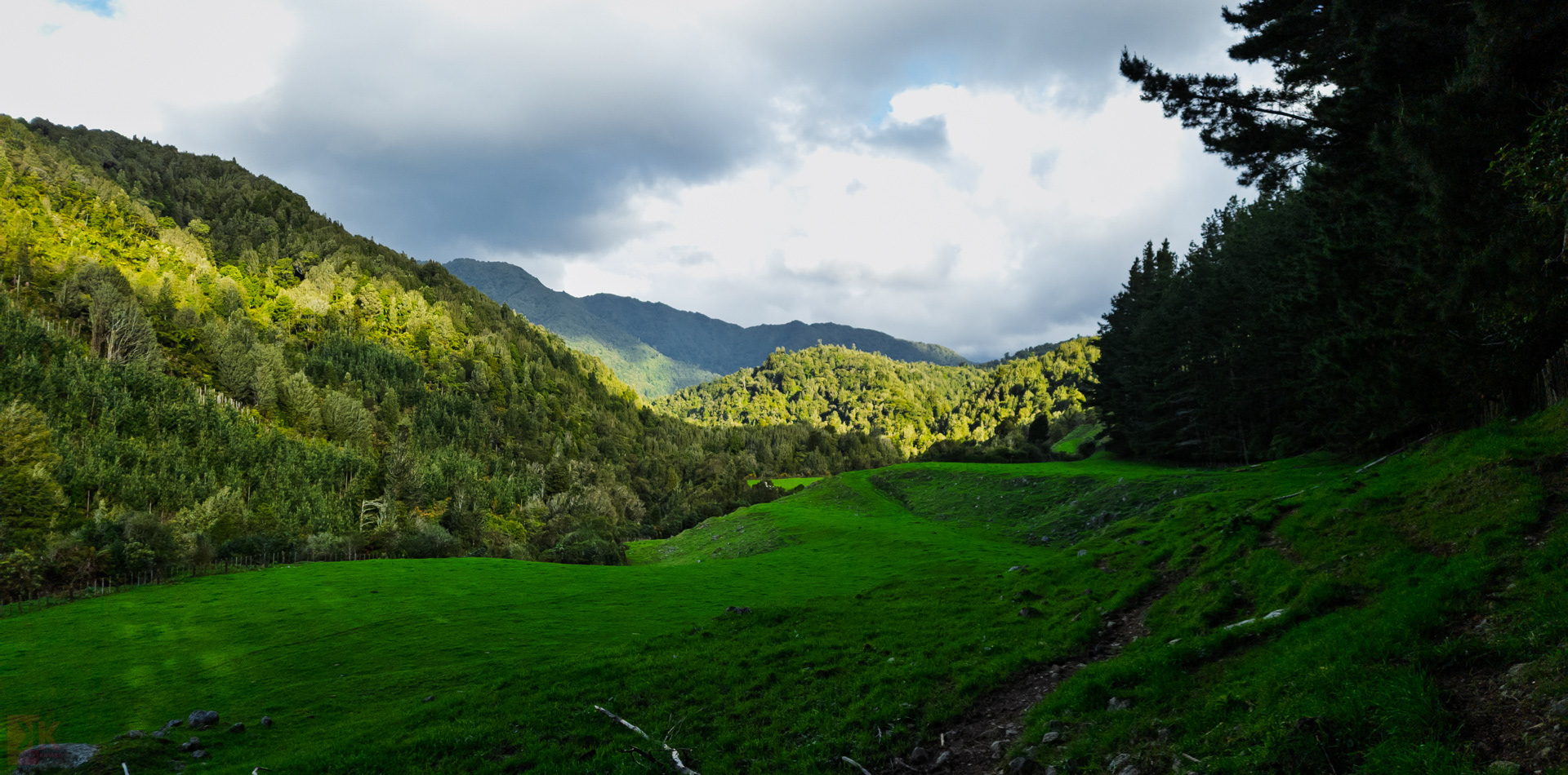 RAW file edited - thoughts?