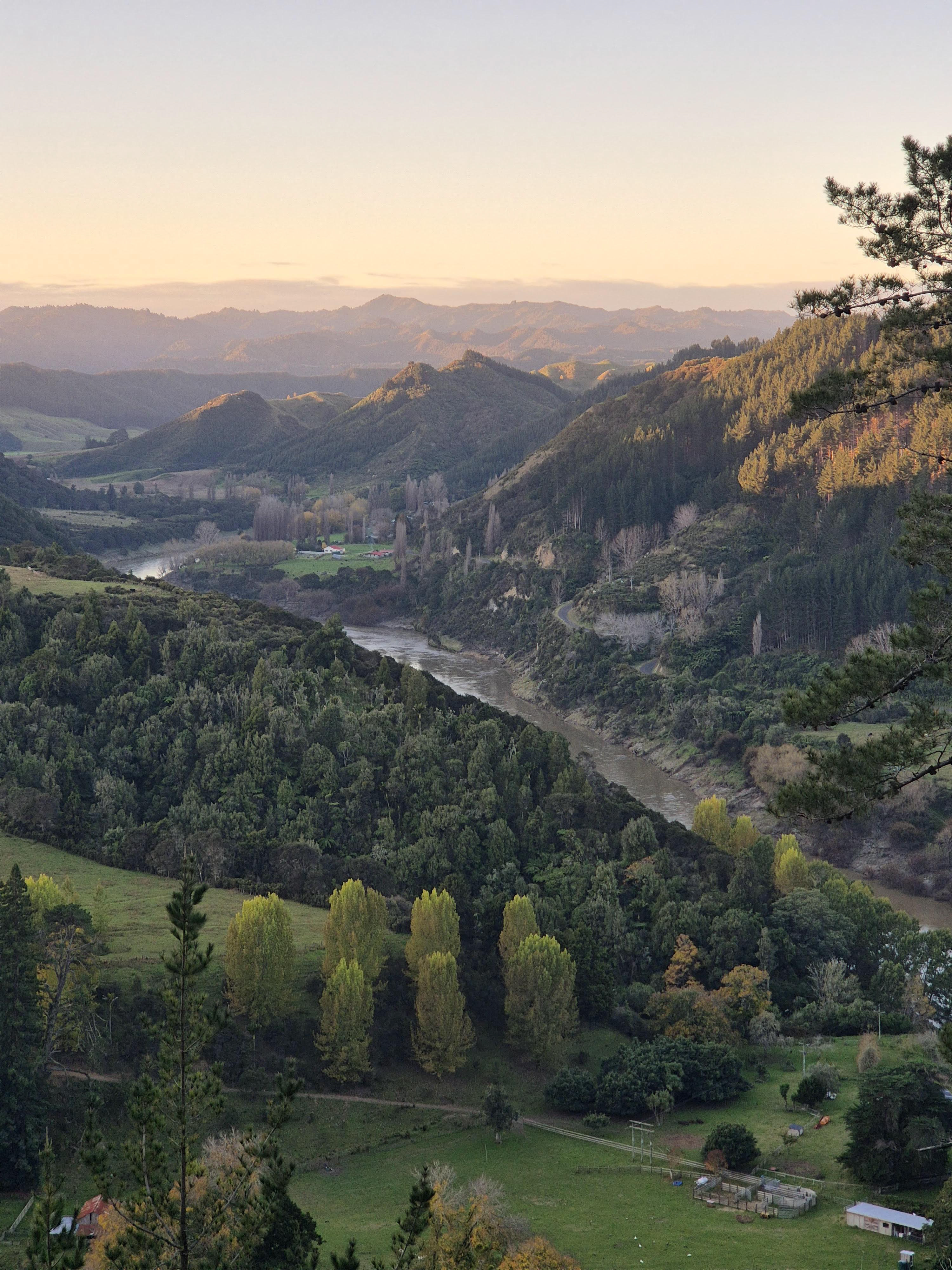 Whanganui river - beauty
