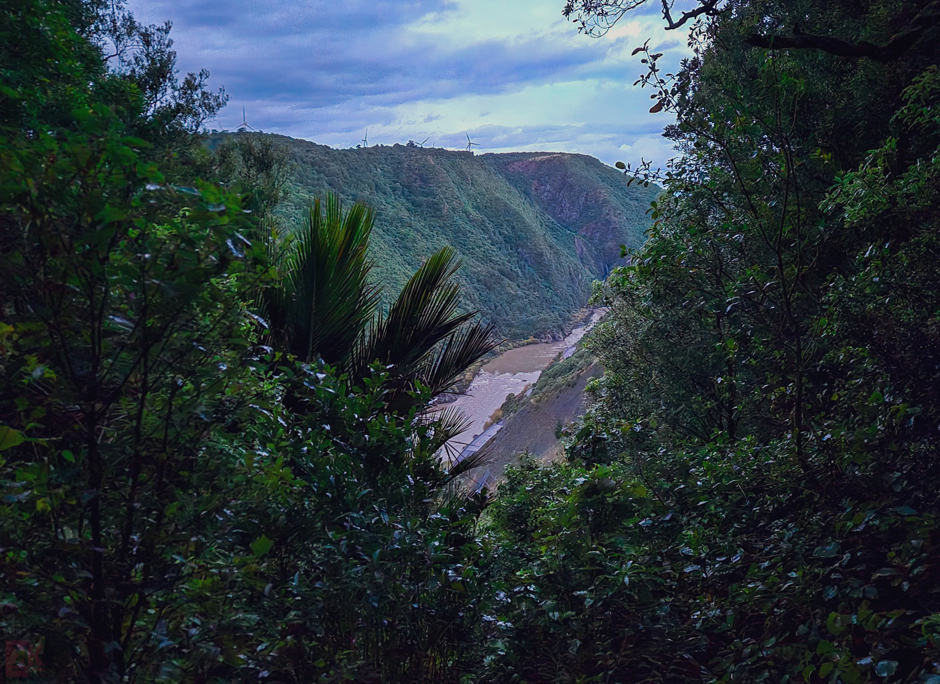 Gorge views!
