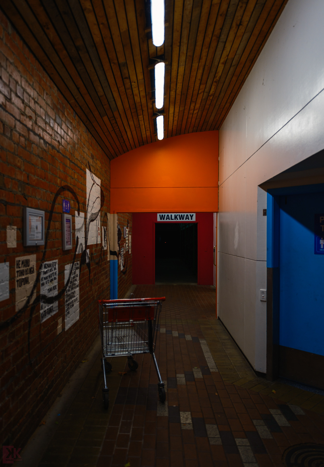 Night walks - Whanganui