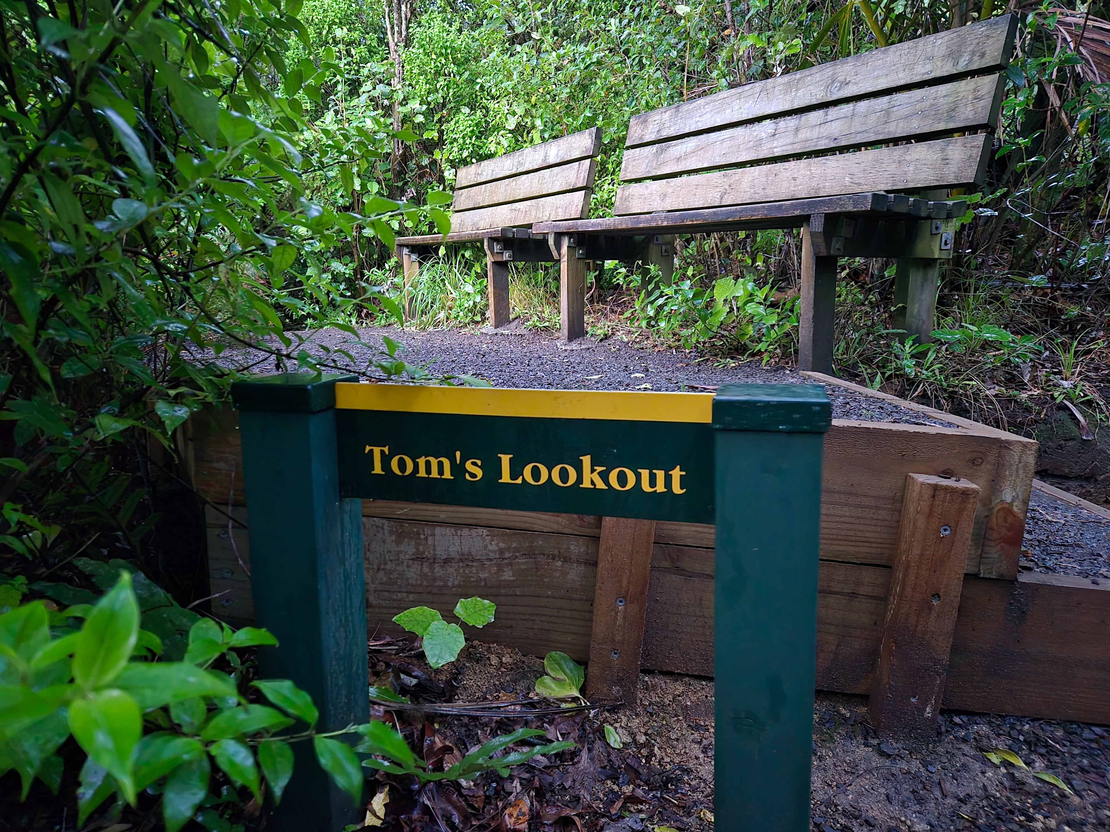 Who is Tom?