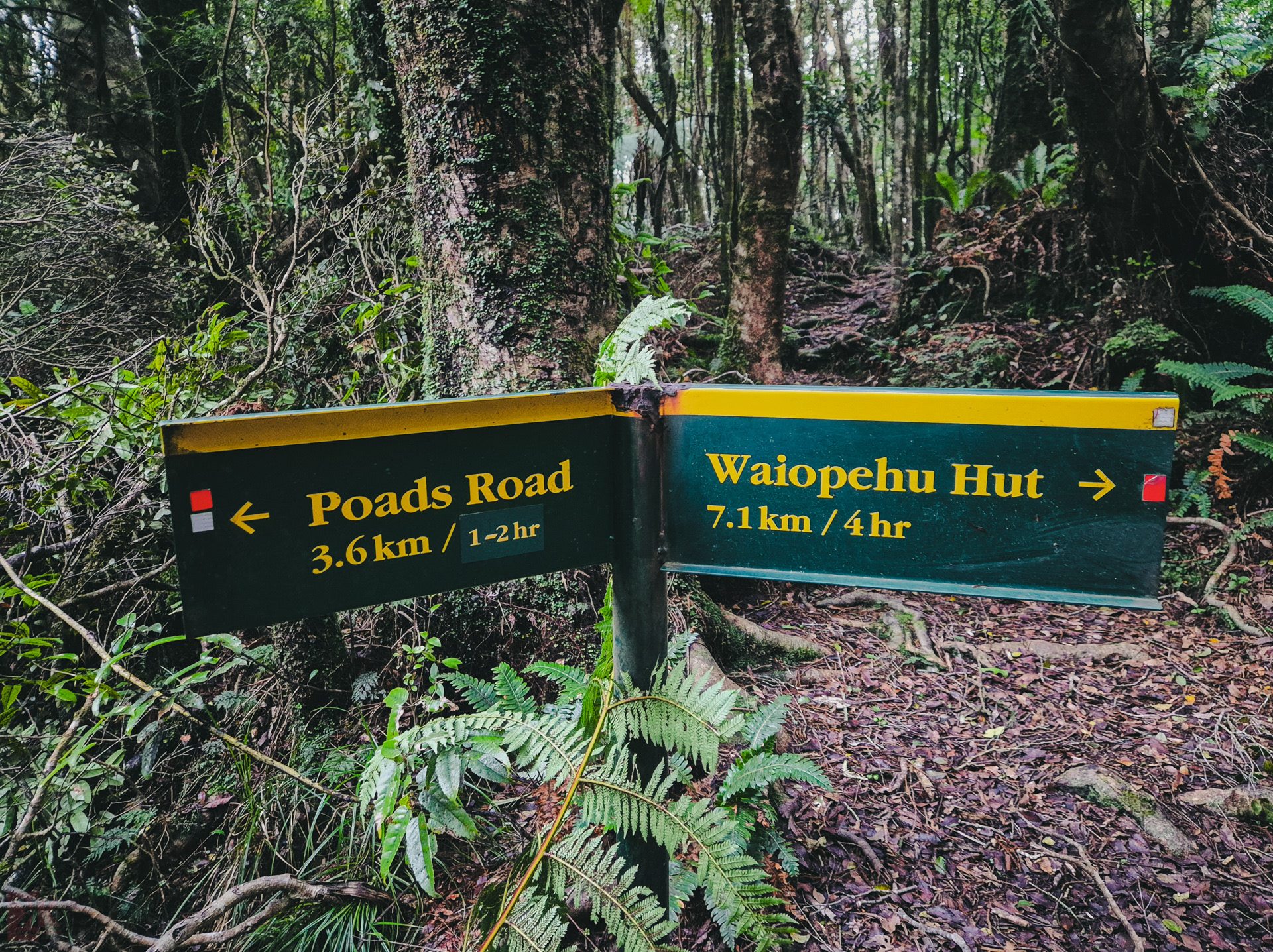 Good old DOC junction signs