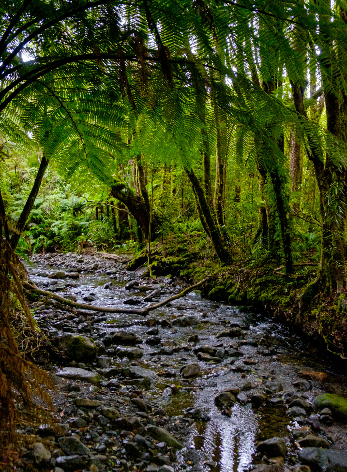 Cascades and streams everywhere
