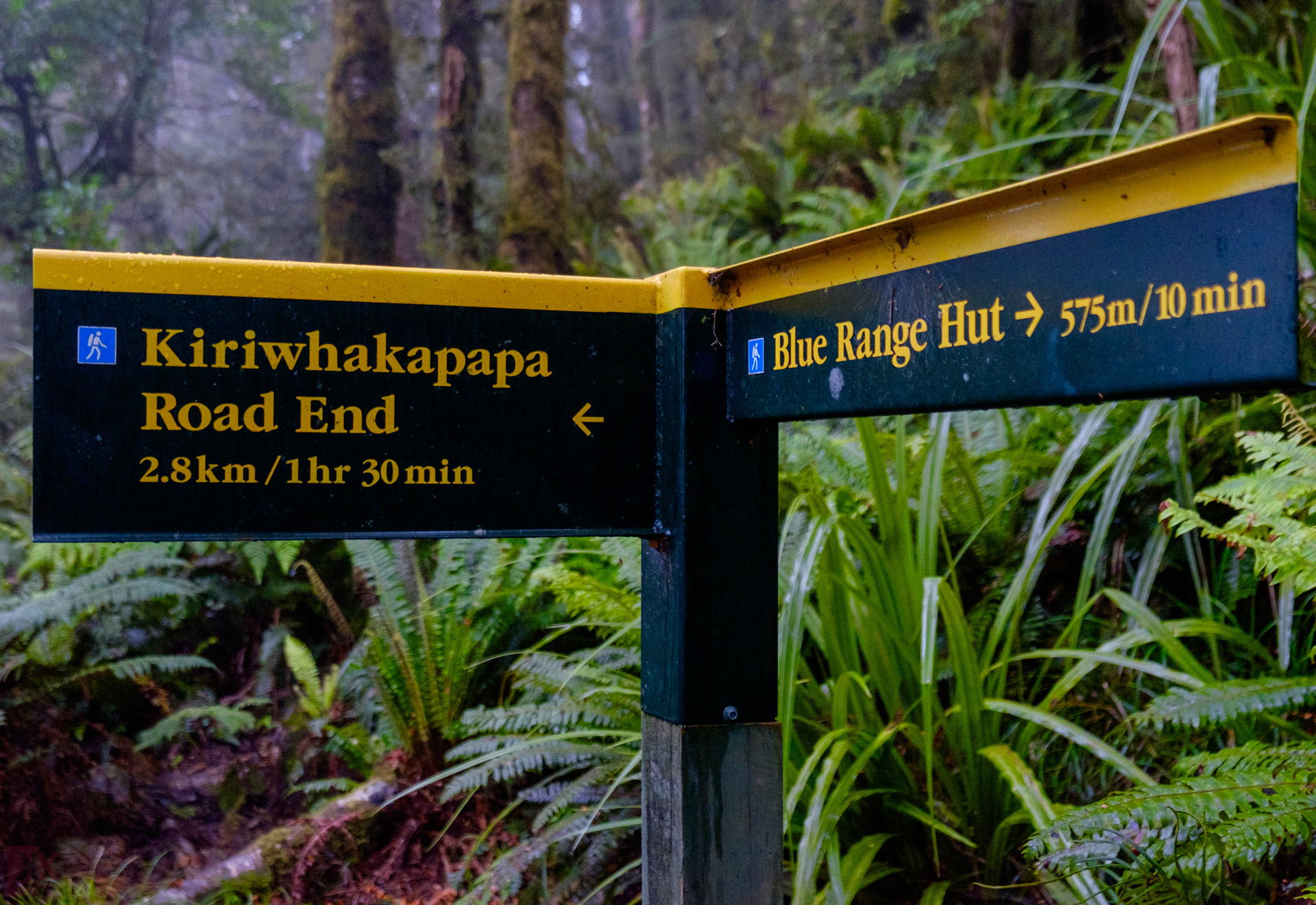 "A fork in the road"