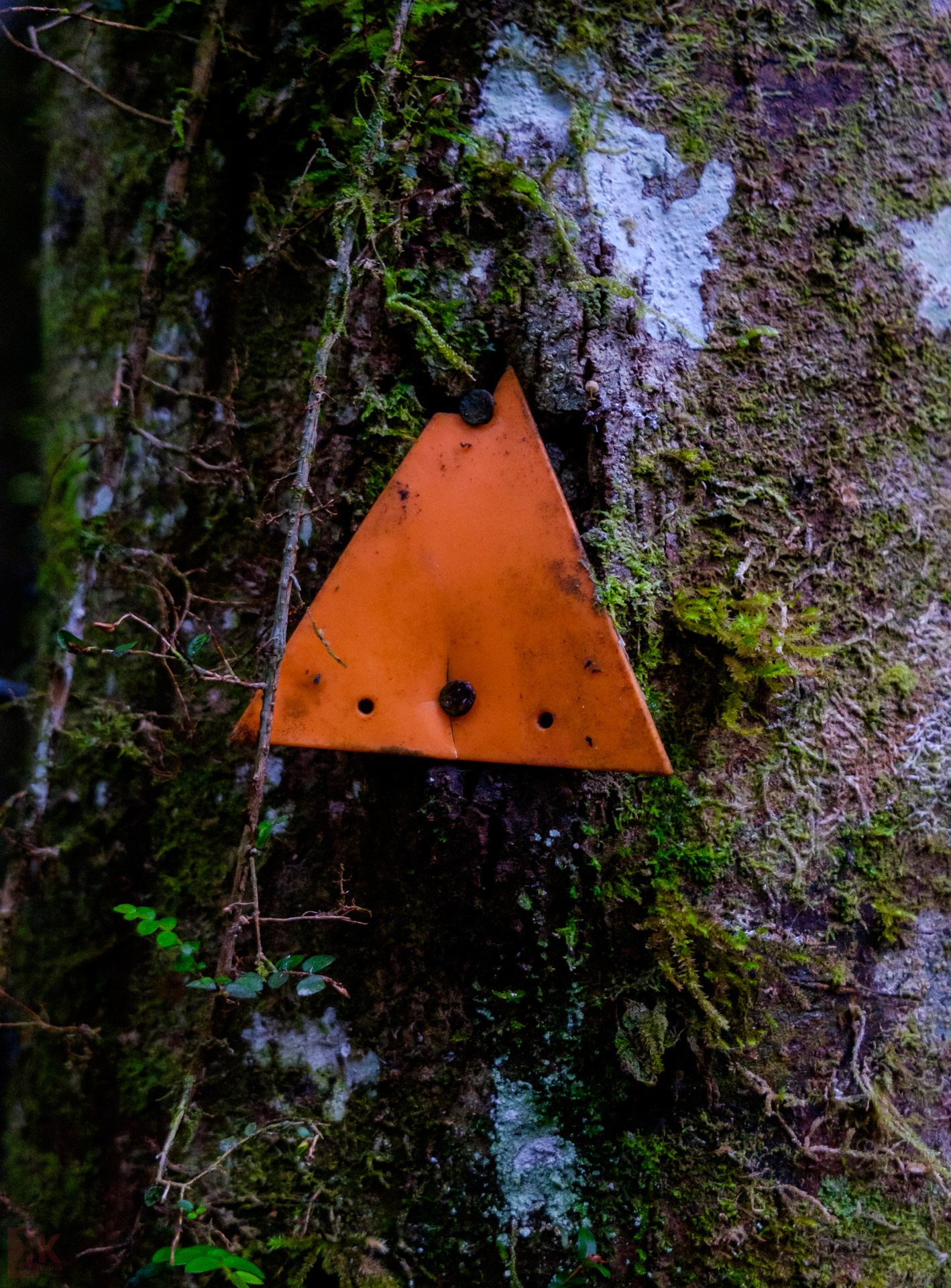 Markers kept me on track