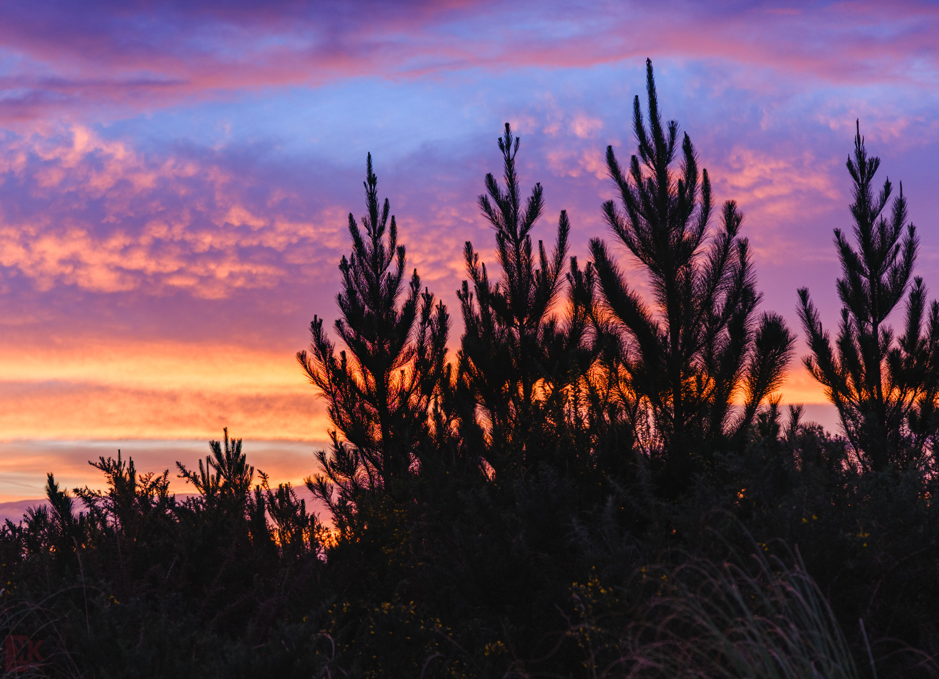 Sunsets at Riverhead