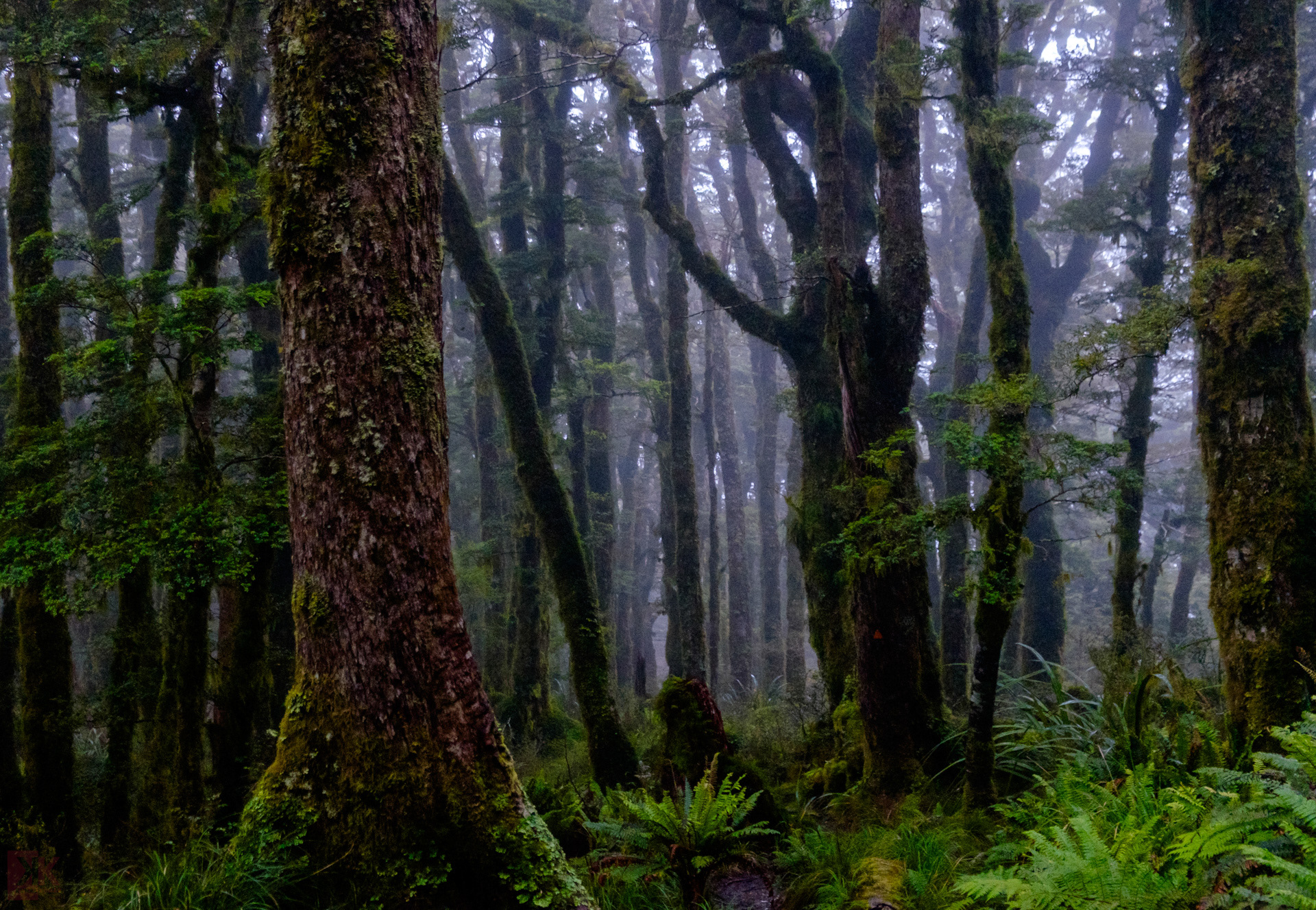 The mist and clouds moving in