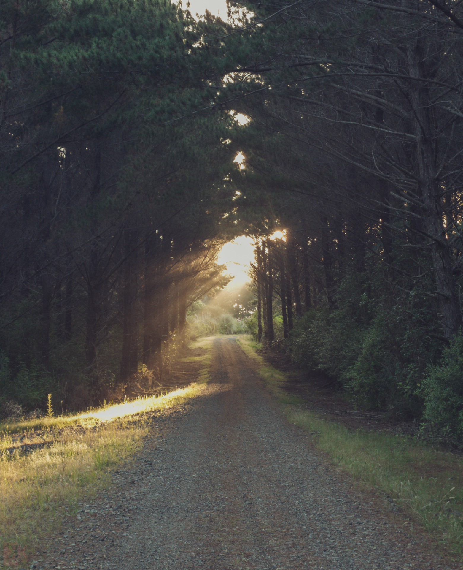 Back home at Riverhead