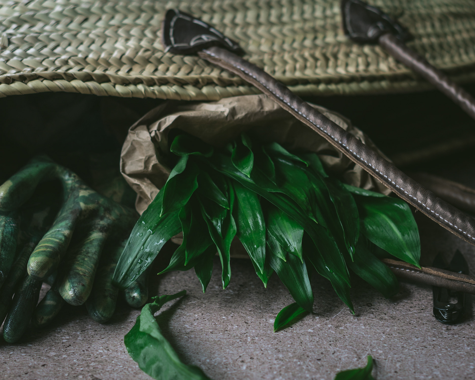 Wild garlic. Teuntje v.d Brekel