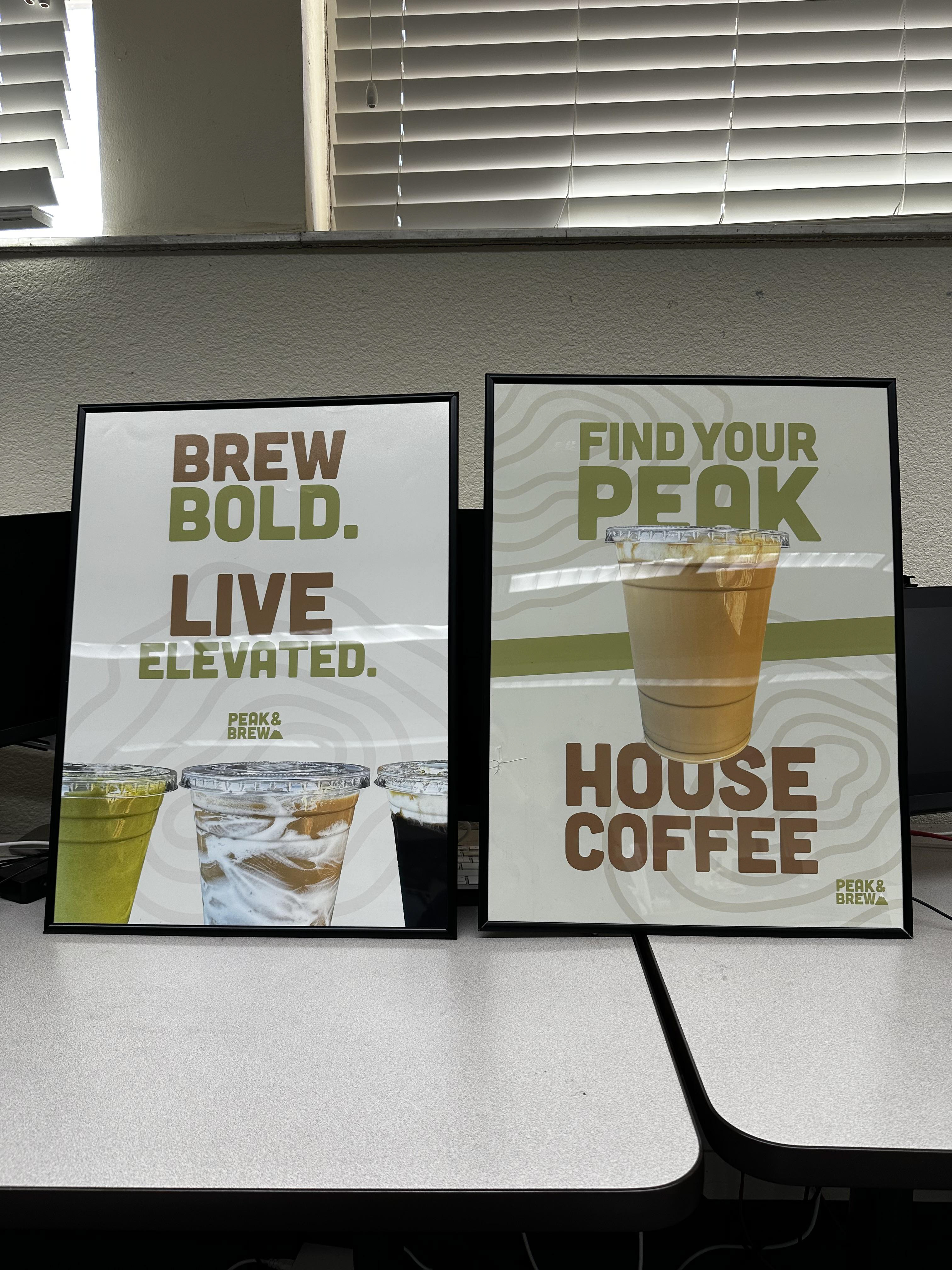 18x24" Promotional Posters