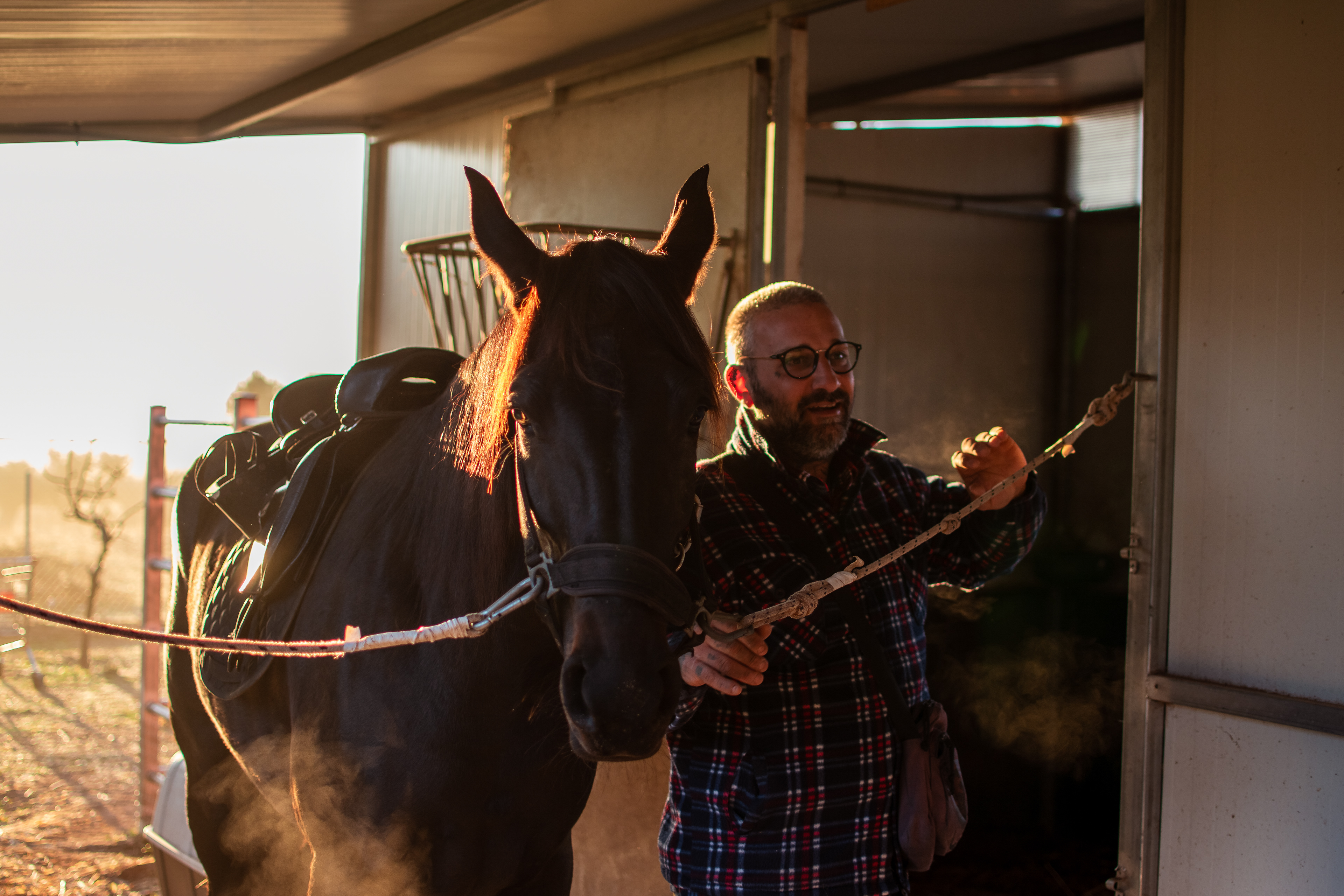 morning photoshoot with horses