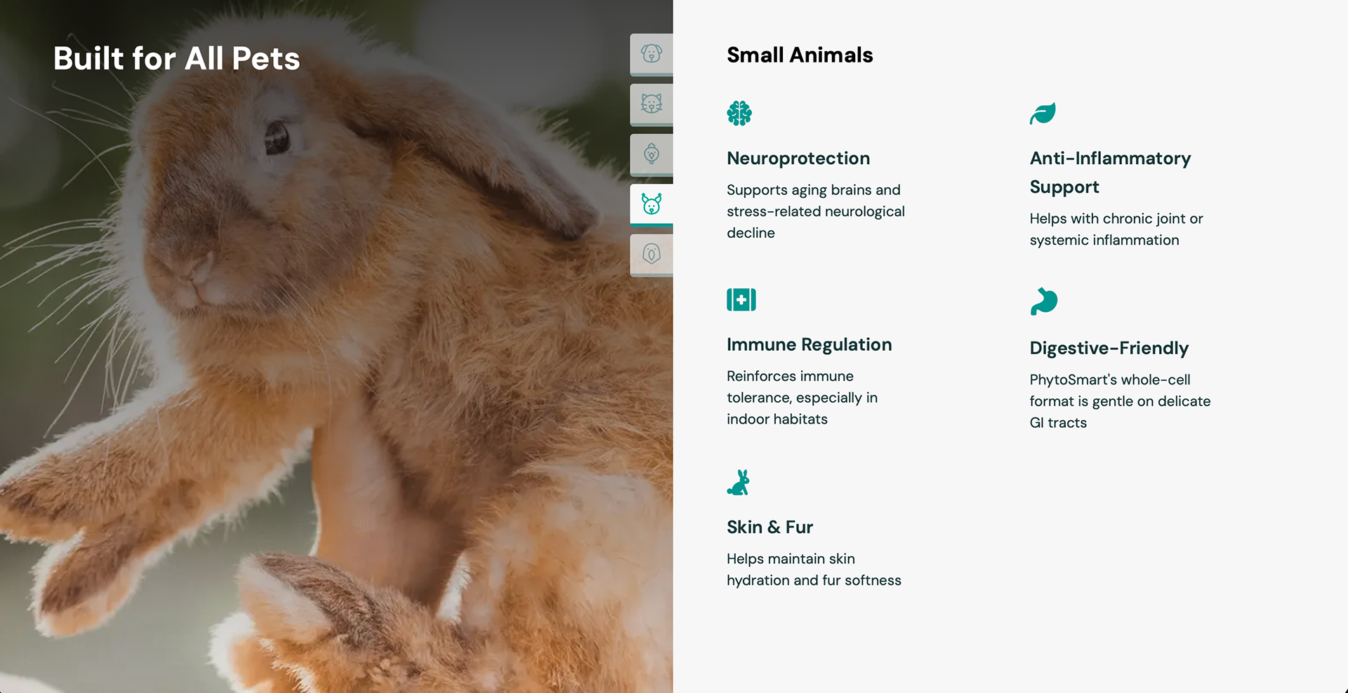 Small Animals